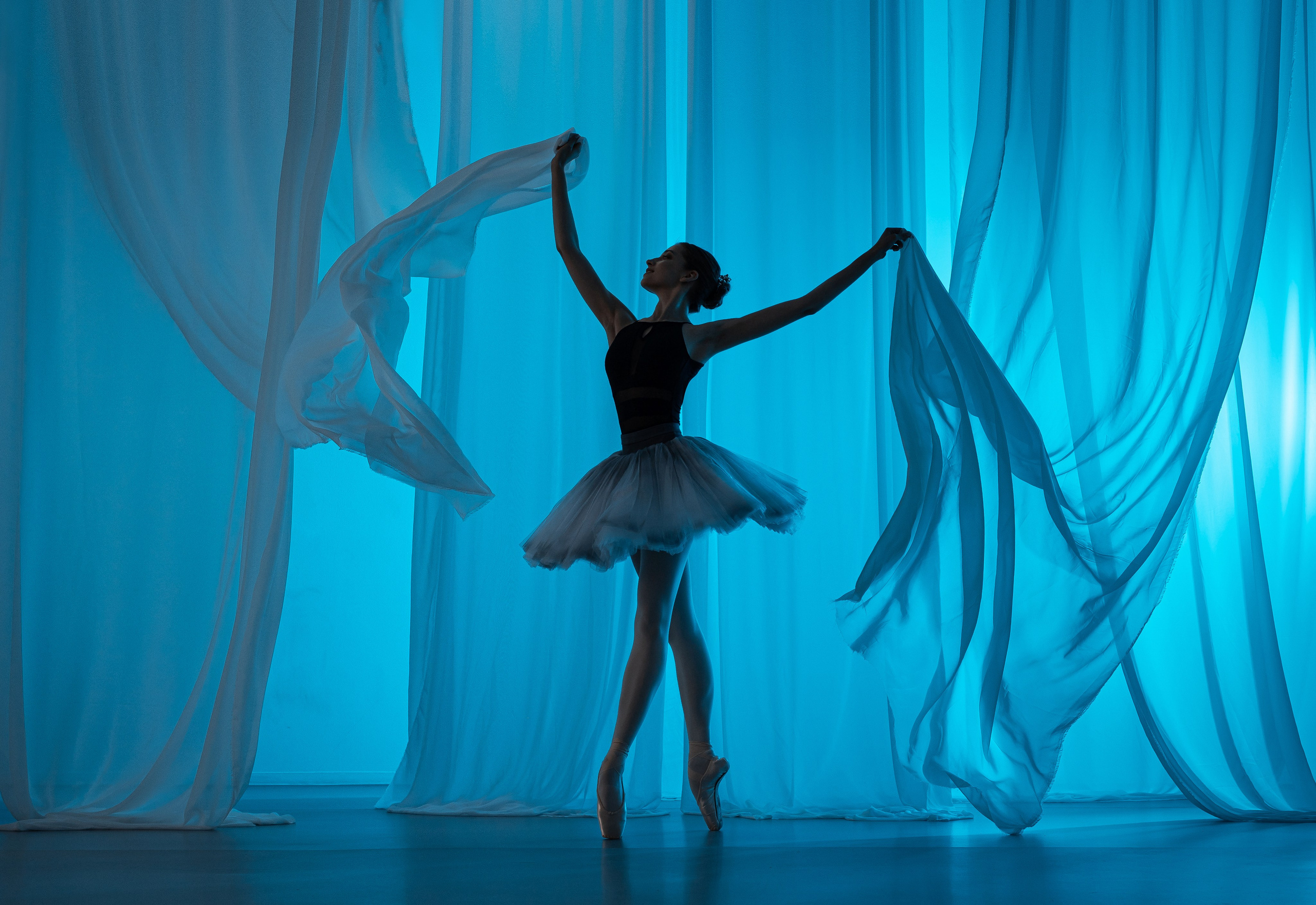 Балетная съёмка в интерьере. Балетный фотограф Алина Ханько — Душа Балета