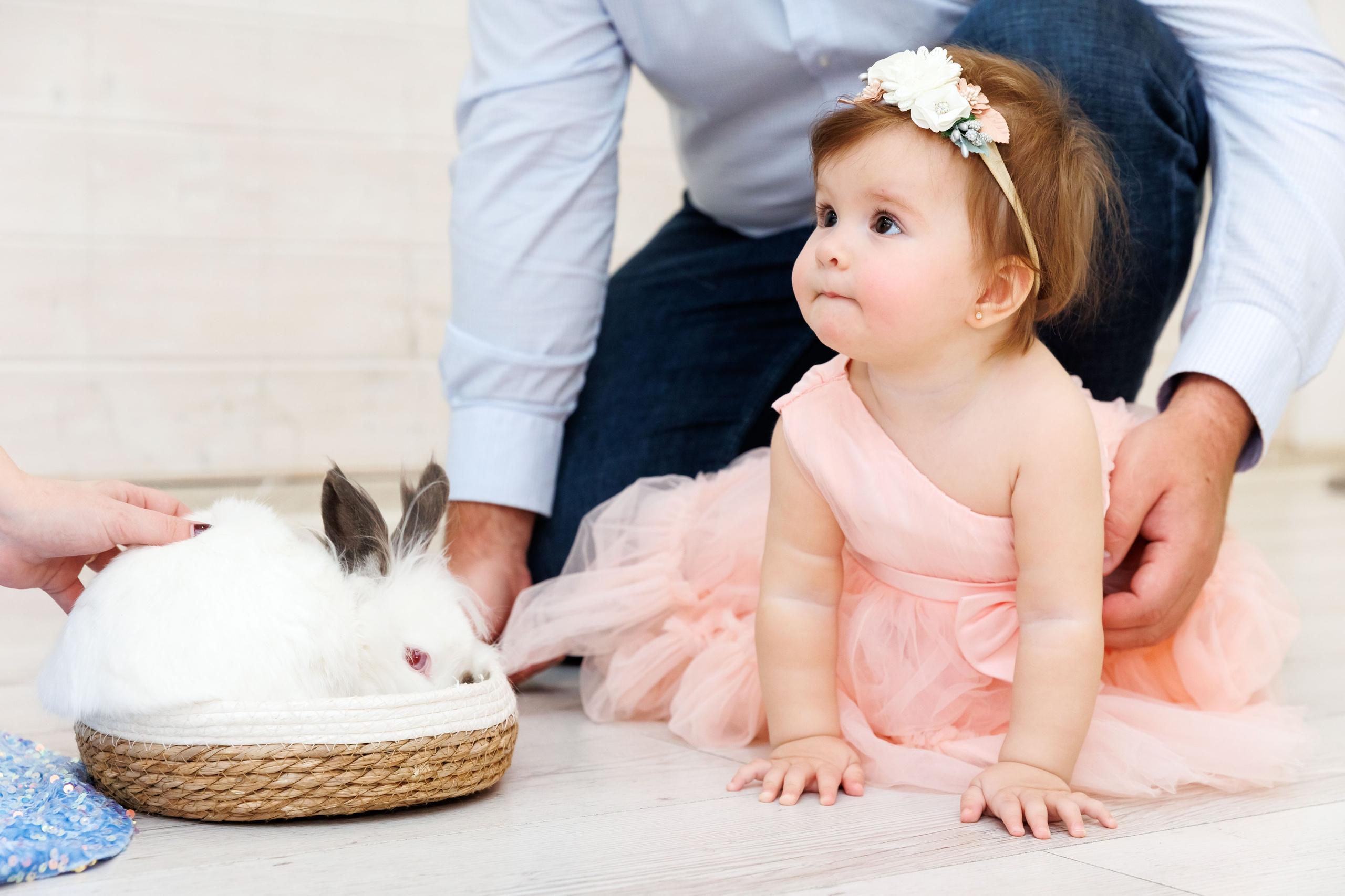 Клуб семейных развлечений Гости. Фотограф Новосибирск — Наталья Гресь