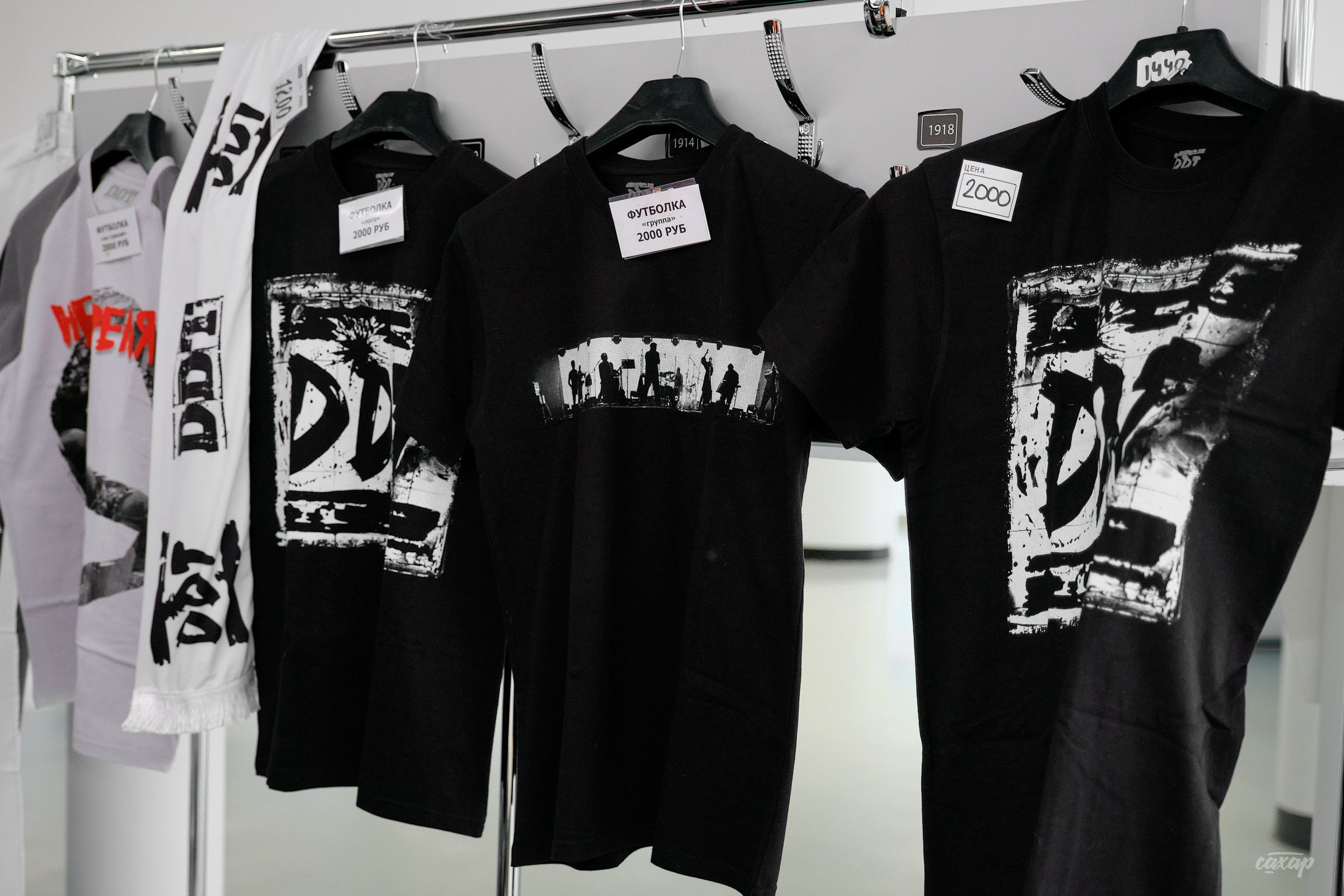 Ддт и Юрий Шевчук. Профессиональный фотограф в Екатеринбурге Юра Сахар