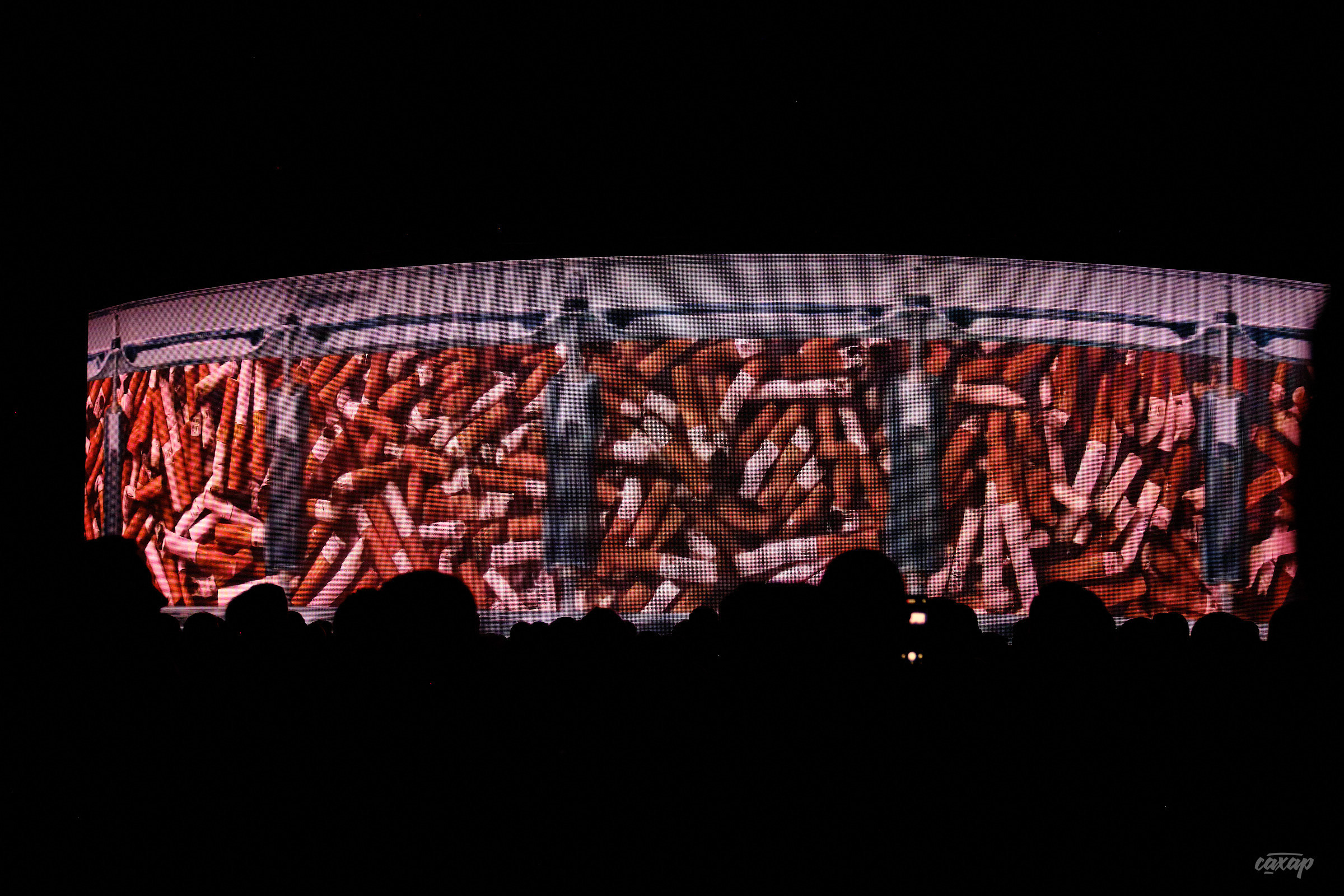 Ддт и Юрий Шевчук. Профессиональный фотограф в Екатеринбурге Юра Сахар