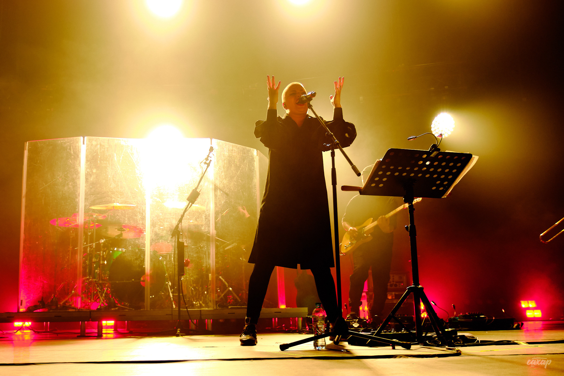 Ддт и Юрий Шевчук. Профессиональный фотограф в Екатеринбурге Юра Сахар