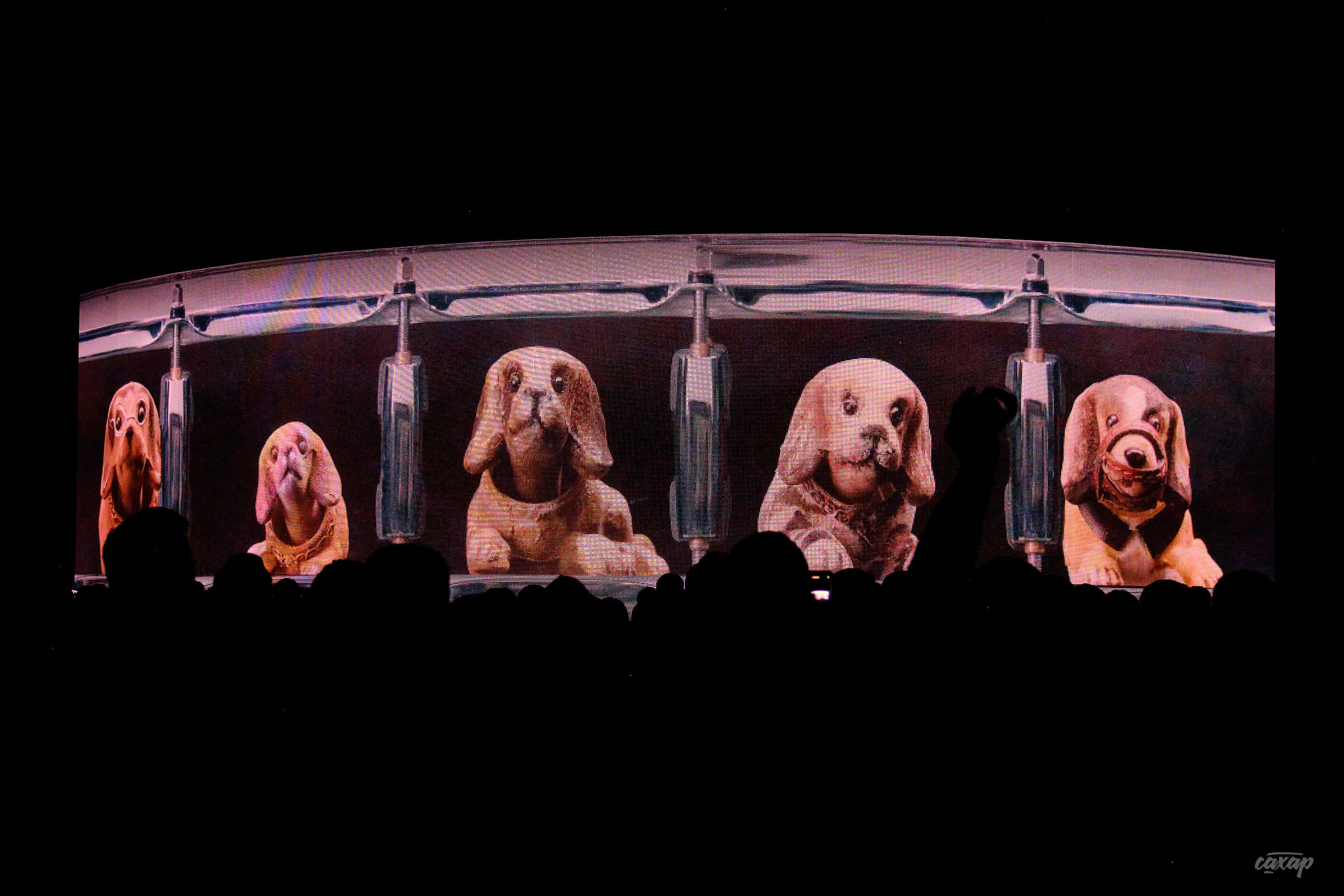 Ддт и Юрий Шевчук. Профессиональный фотограф в Екатеринбурге Юра Сахар