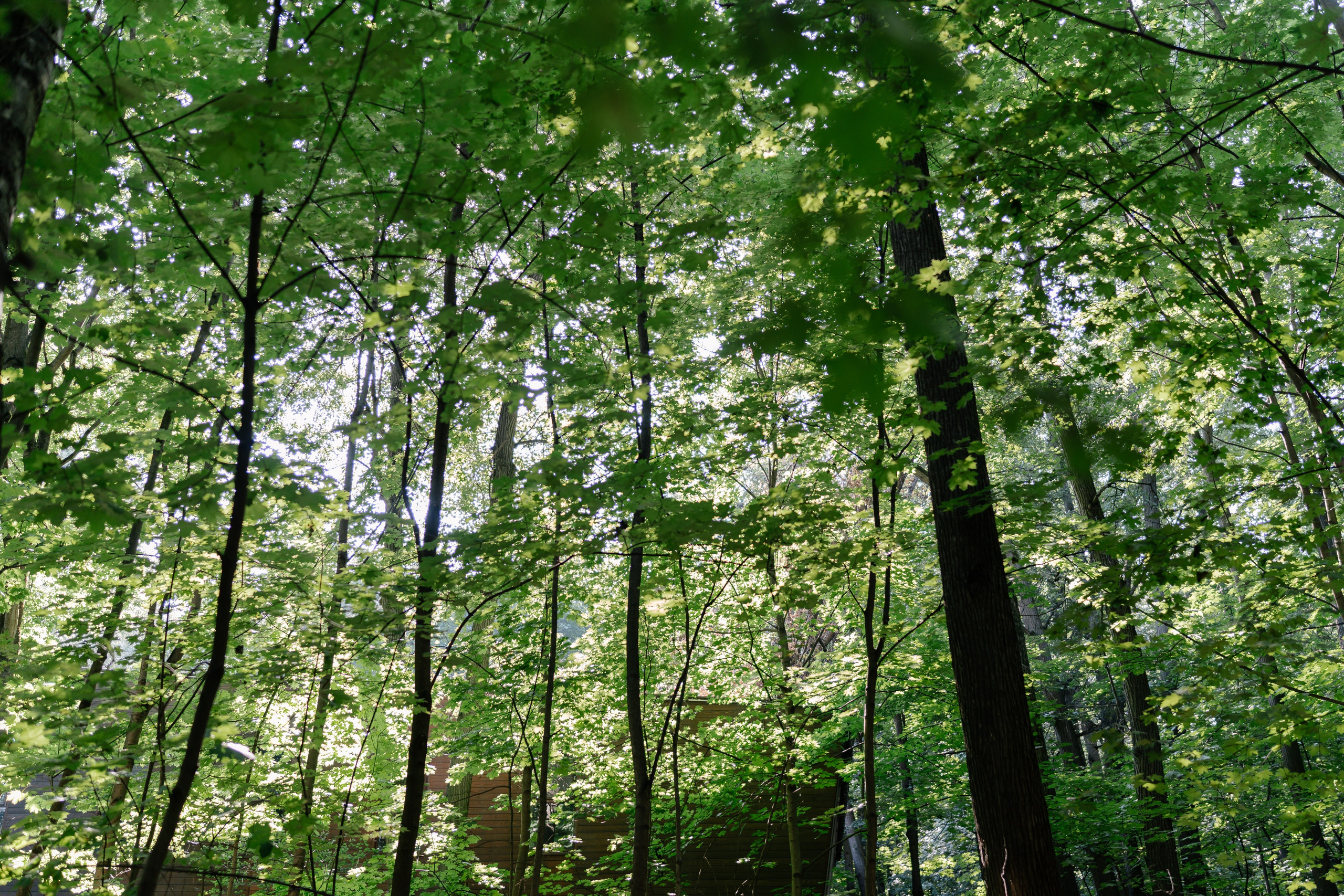 День рождения в ресторане «Fox». Семейный и свадебный фотограф в Красногорске Анастасия Тихонова