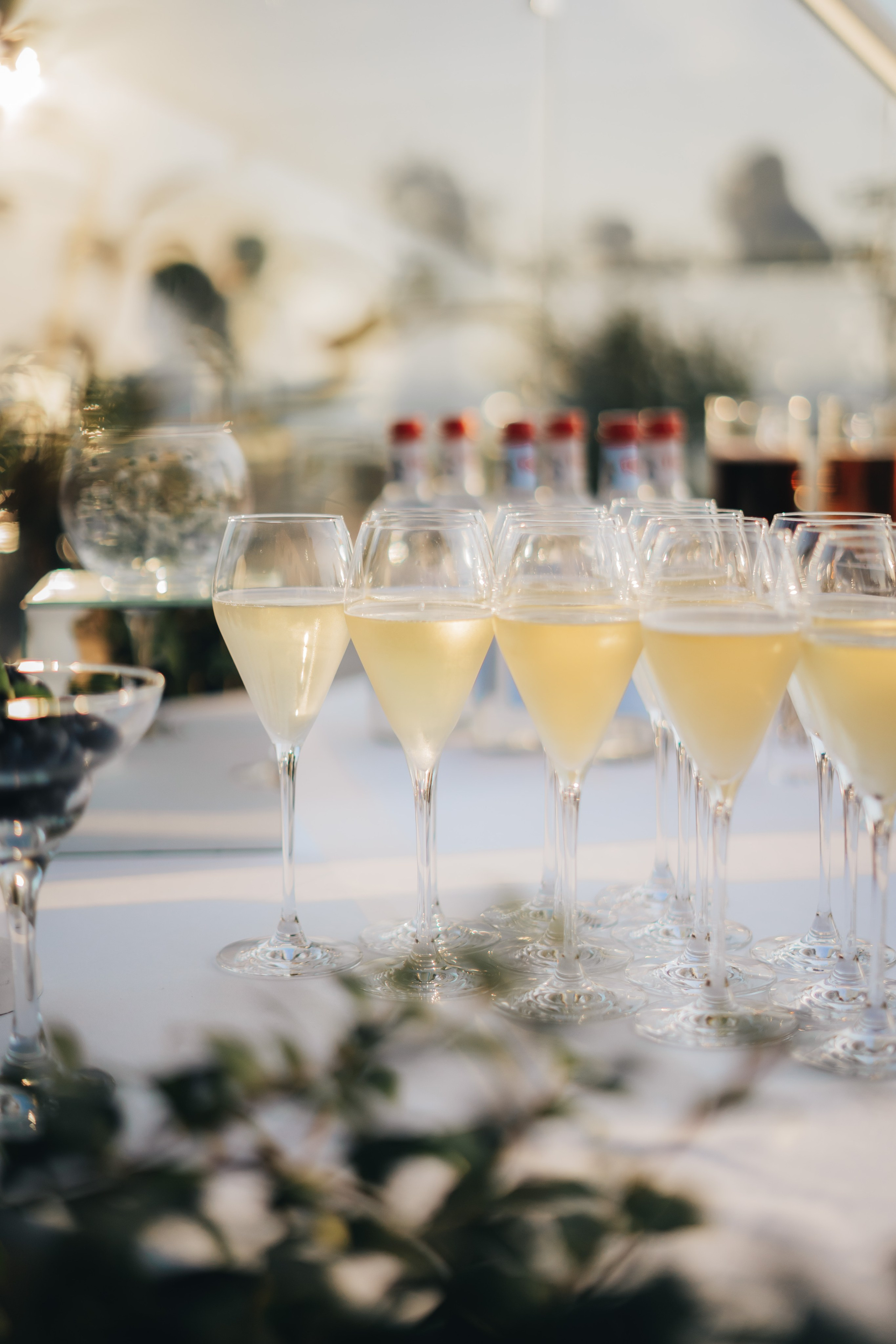 На закате. Фотограф Крым, Севастополь