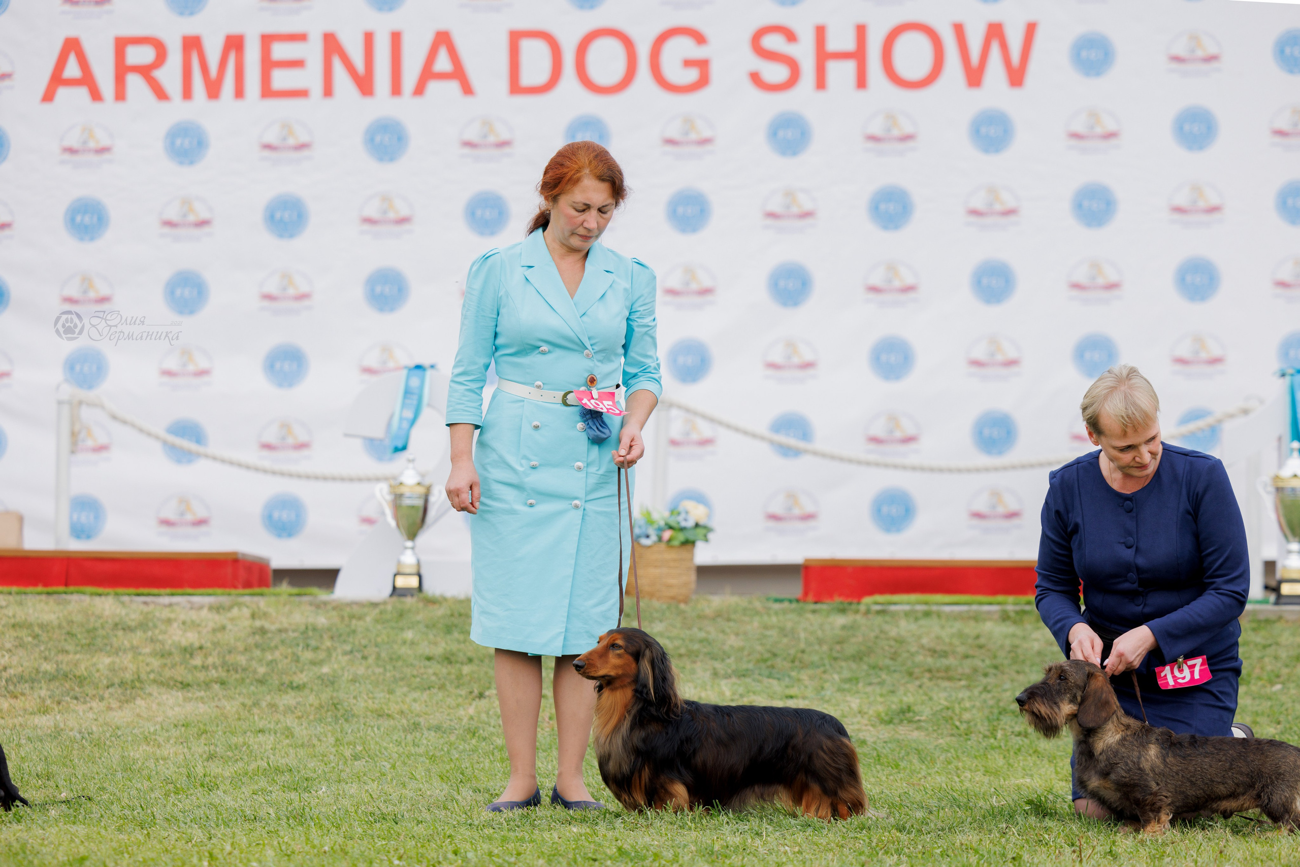 Армения,Ереван 3хCACIB 15-17.10.2024. Фотограф-анималист Юлия Германика