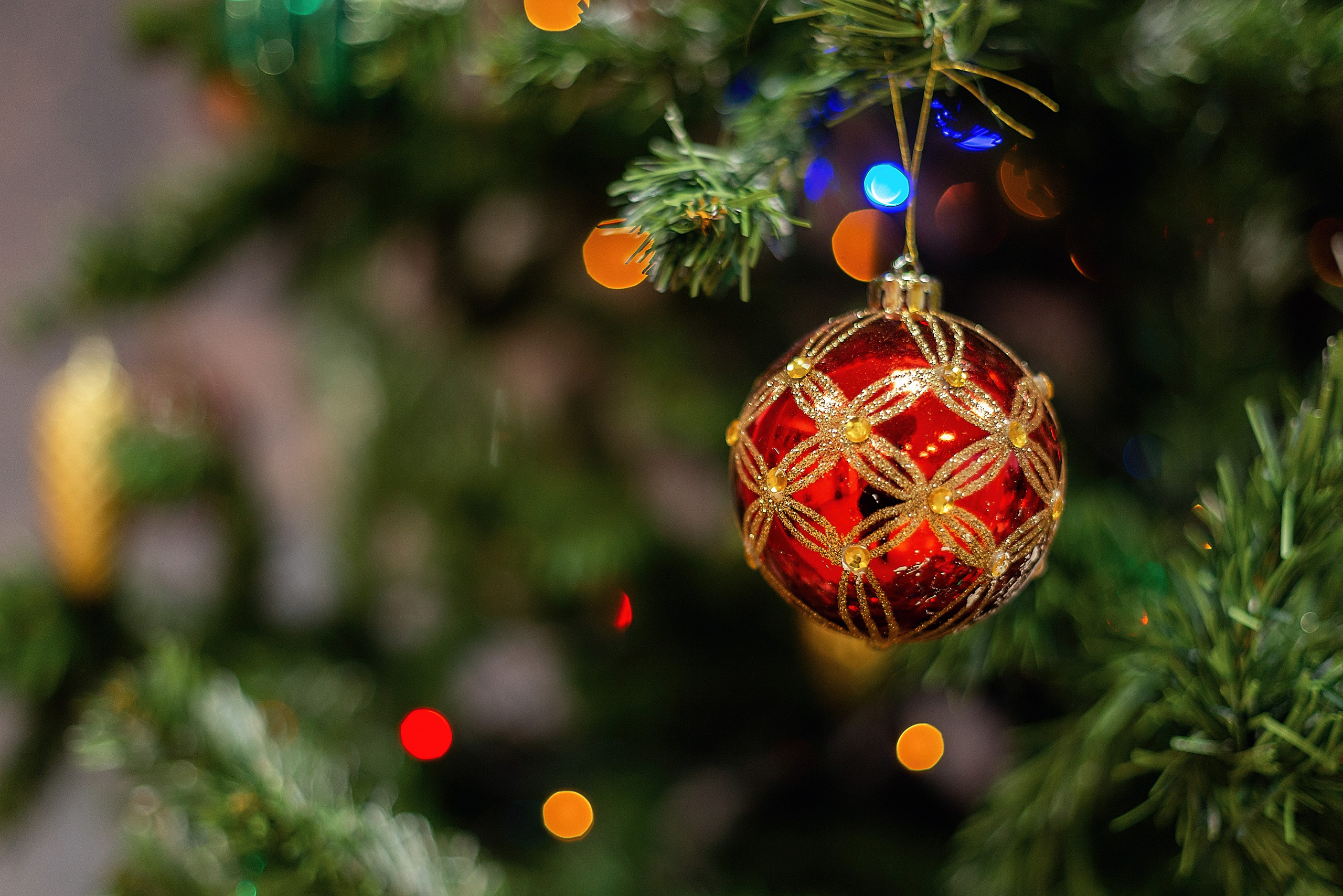 Утренник_"Карамельная фабрика» 2024. Семейный фотограф в Санкт-Петербурге