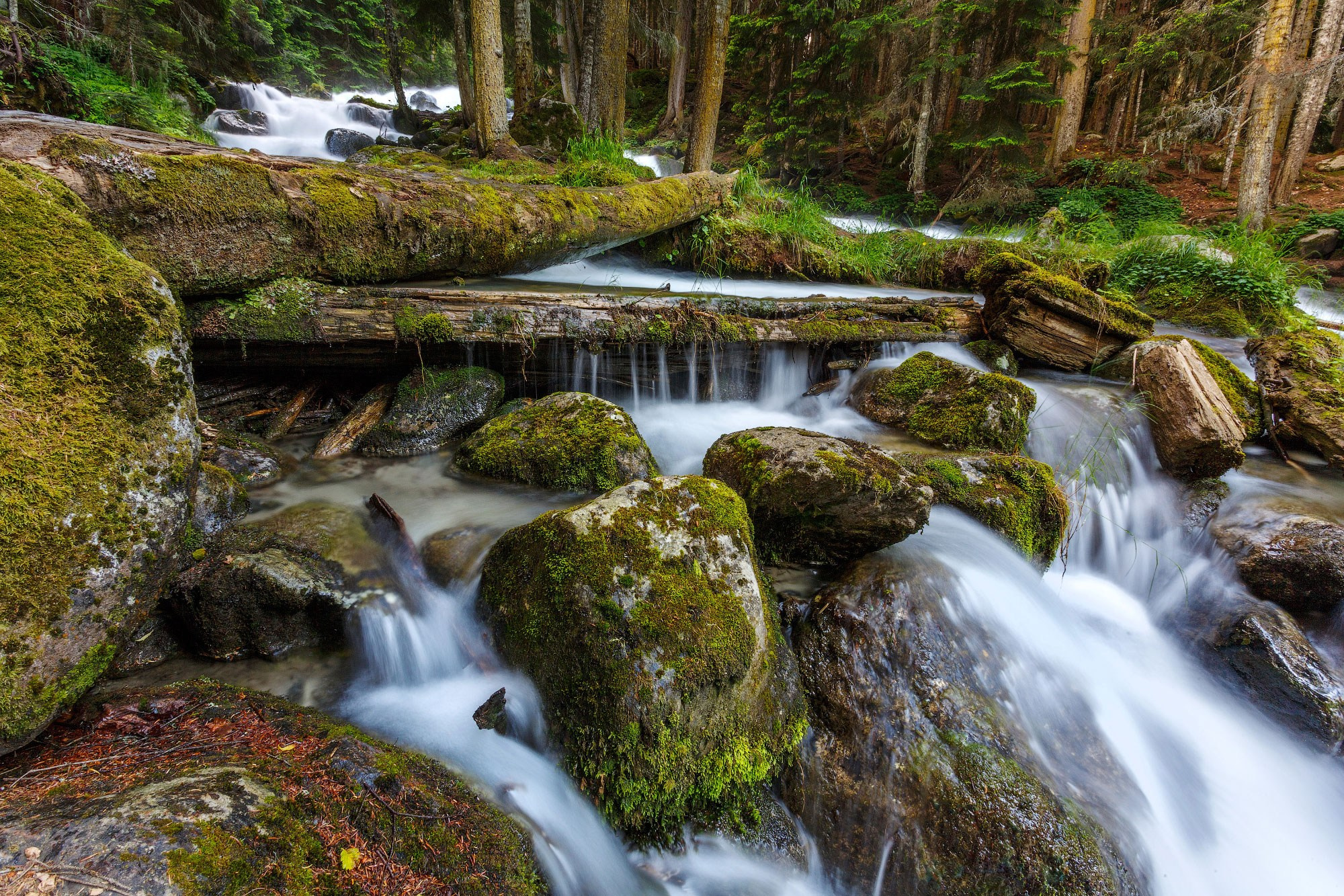 Свадебный фотограф в Геленджике