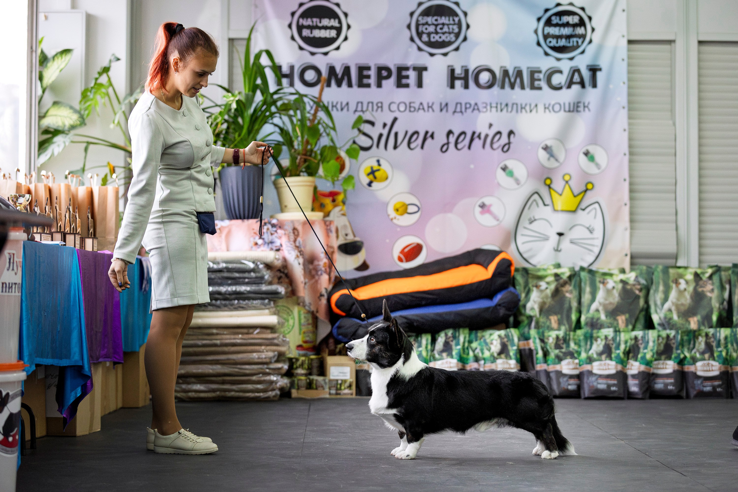 Националка ВКК 2024. Фотограф анималист, семейный фотограф, фотограф собак Комратова Мария. г. Москва