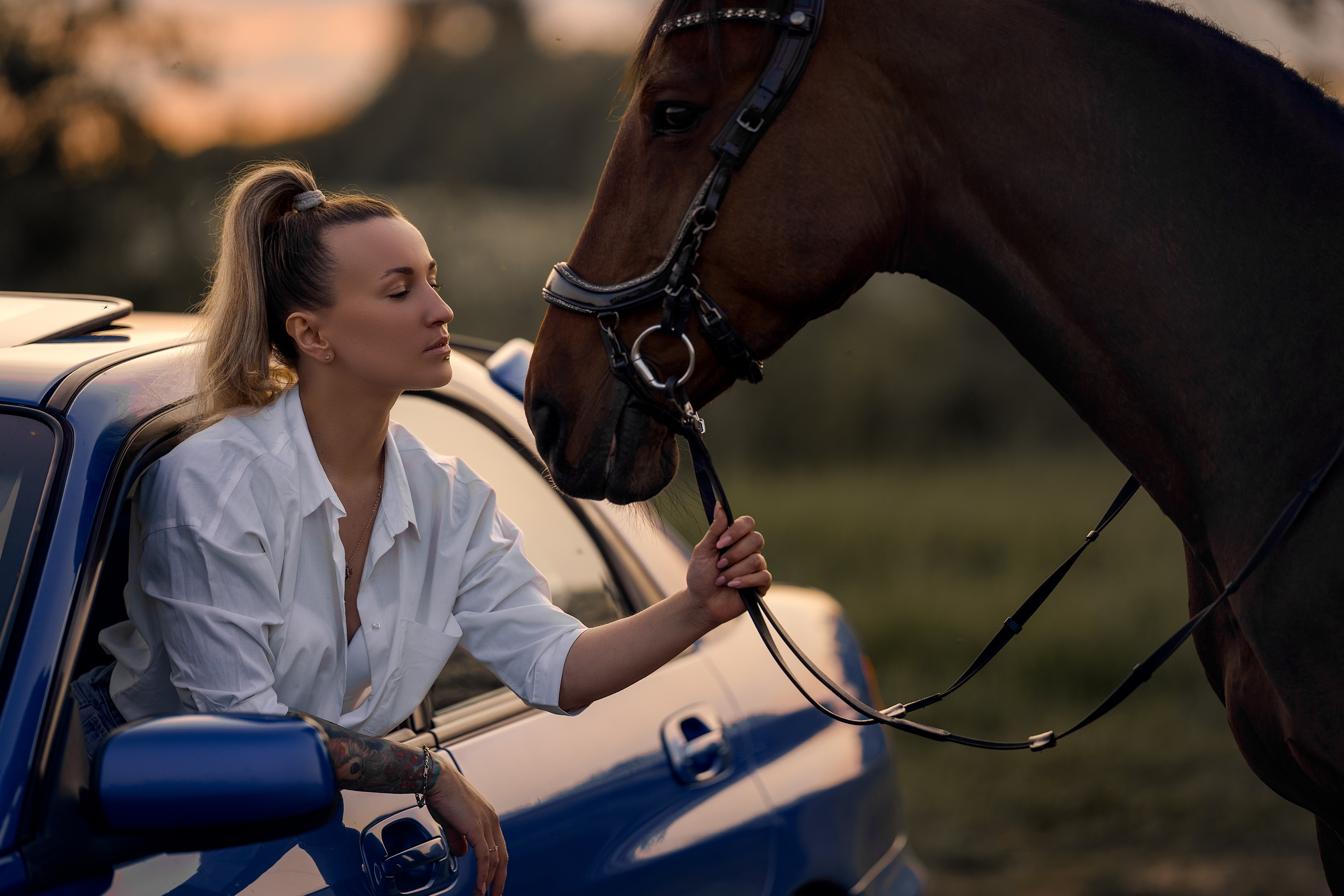 Фотосессии с лошадьми. Фотограф Артемьева Катерина|фотосессии с лошадьми