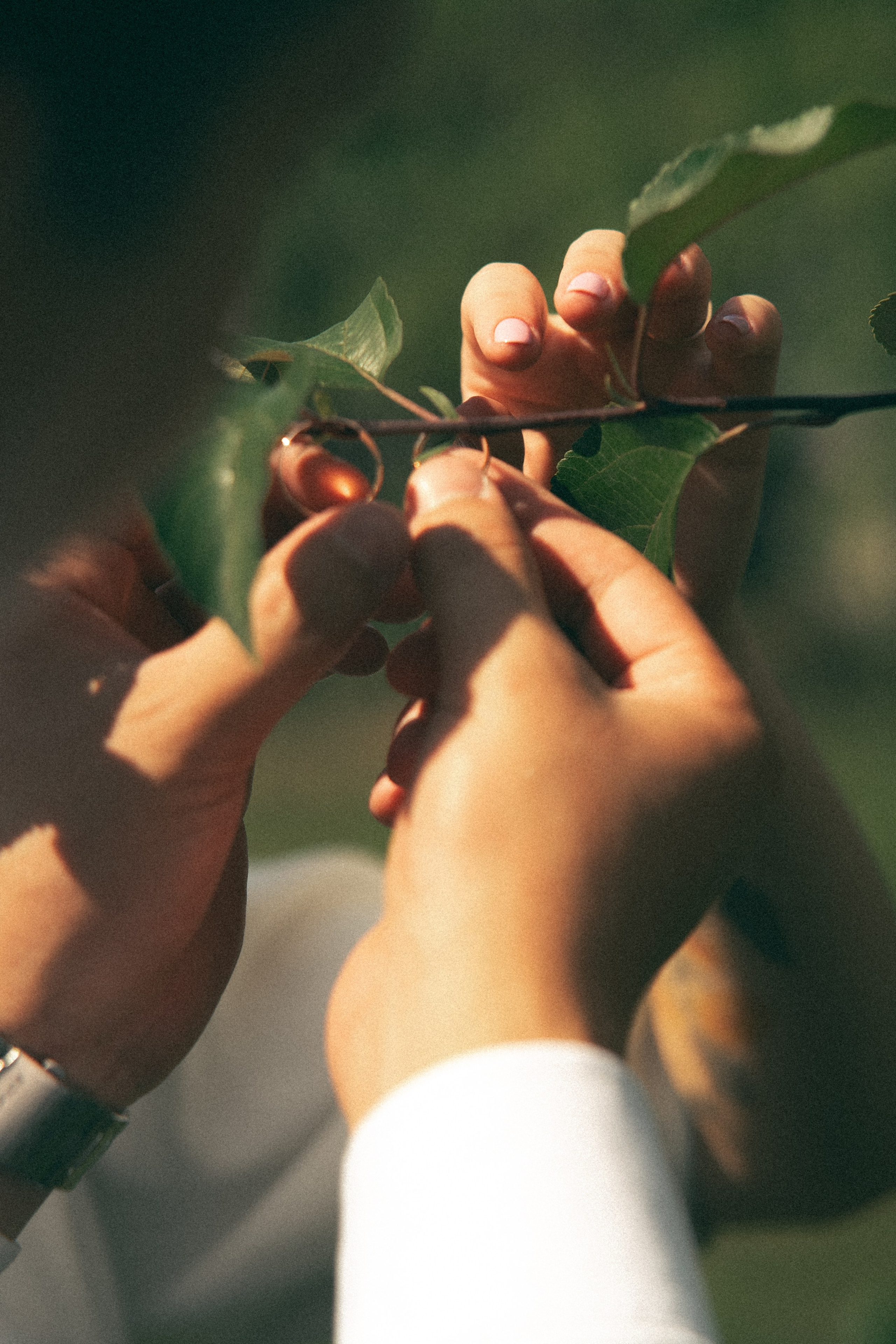 Сад. Фотограф Мария Зайчик