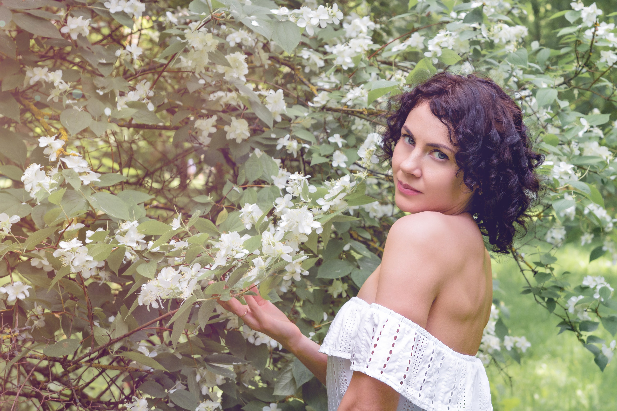 Зелёная симфония