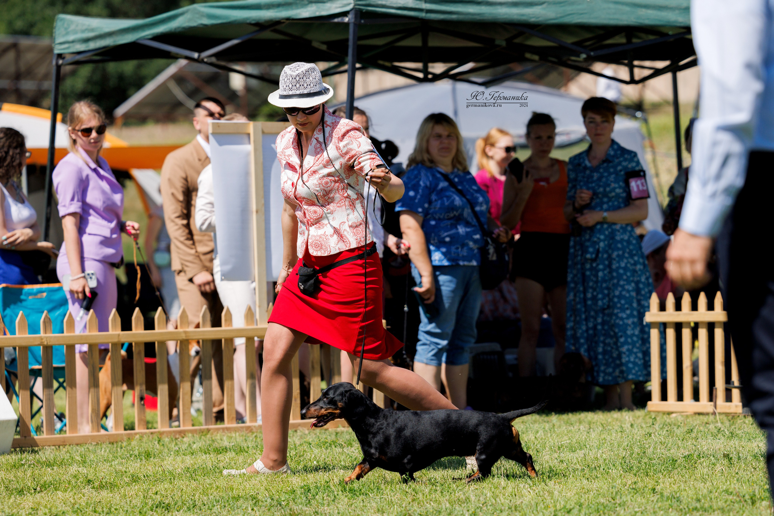 Ереван 3-5.06.2024. Фотограф-анималист Юлия Германика