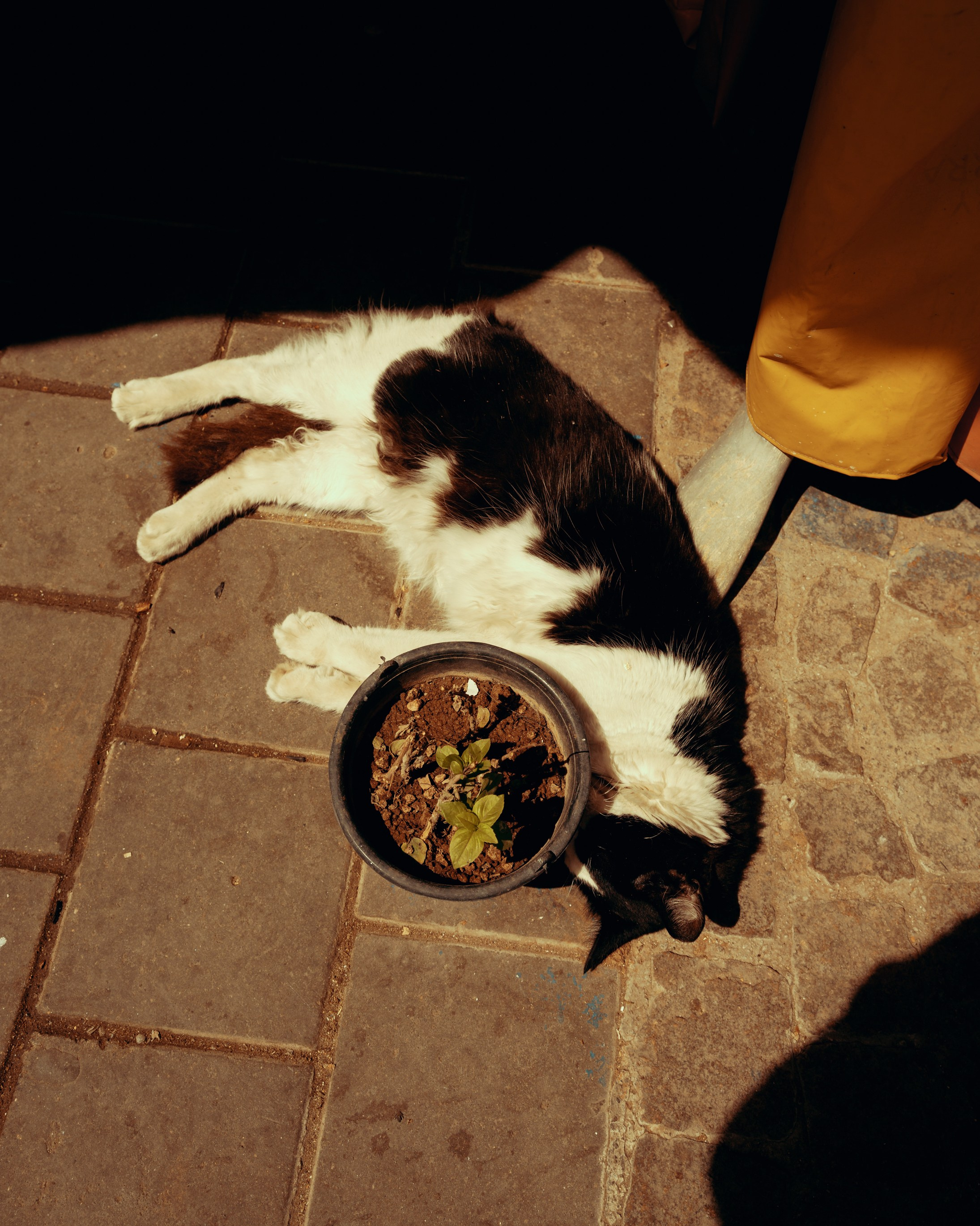 Северная Африка: Тунис, Марокко. Фотограф в Хабаровске. Фотография за 24 часа