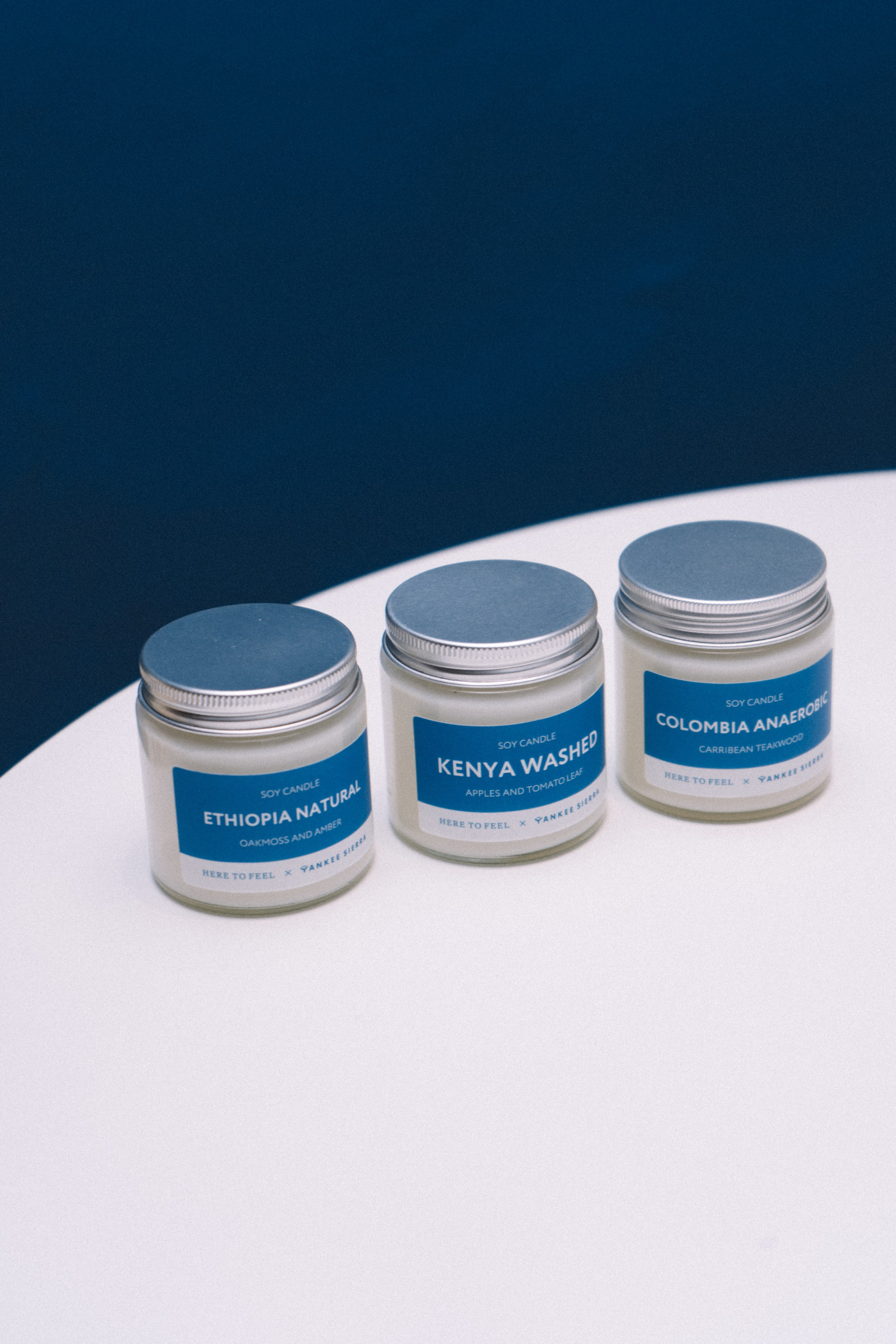 Yankee sierra. Анастасия Попова — Fashion photographer