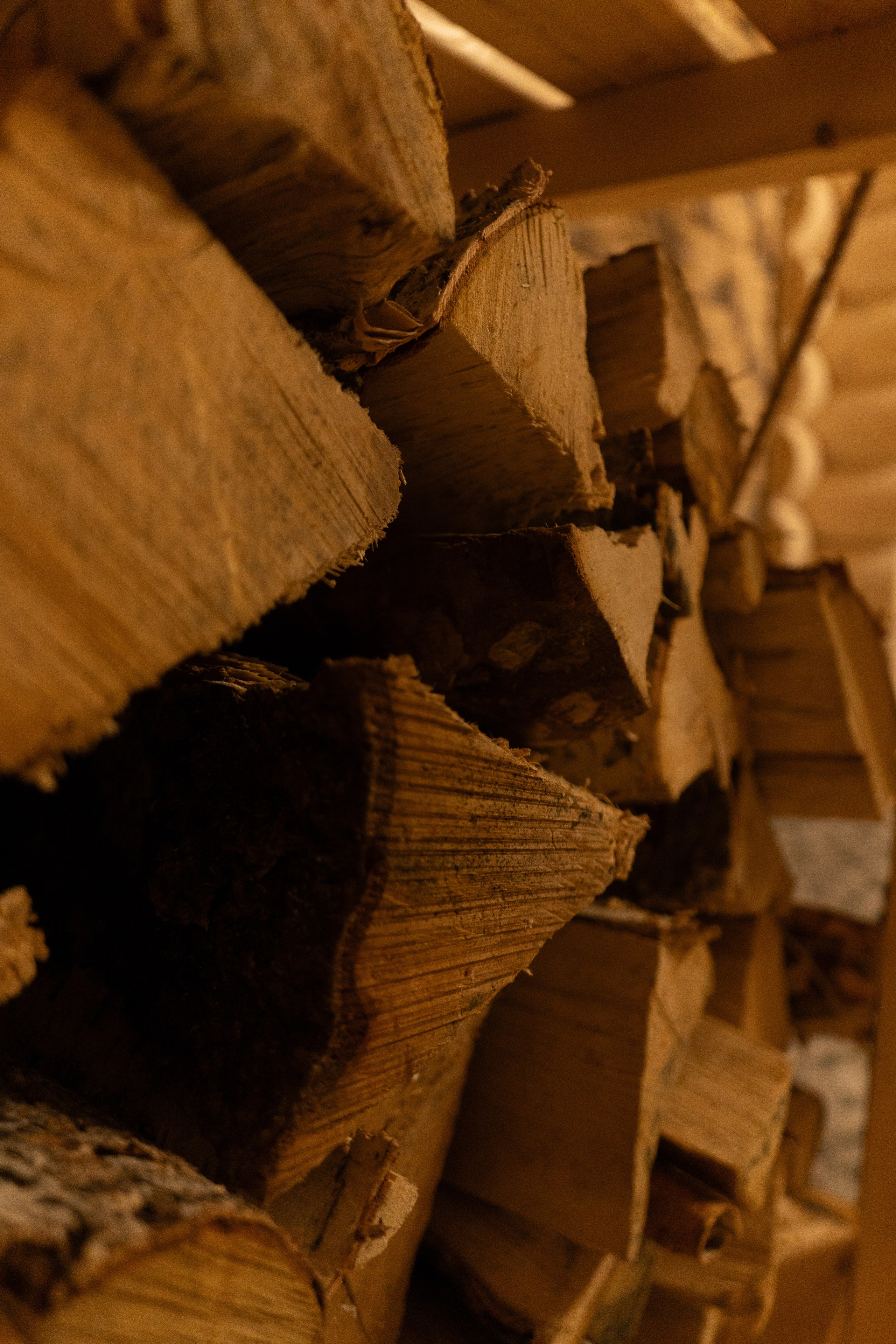 Home. Анастасия Паршукова — фотограф Шерегеш Новосибирск