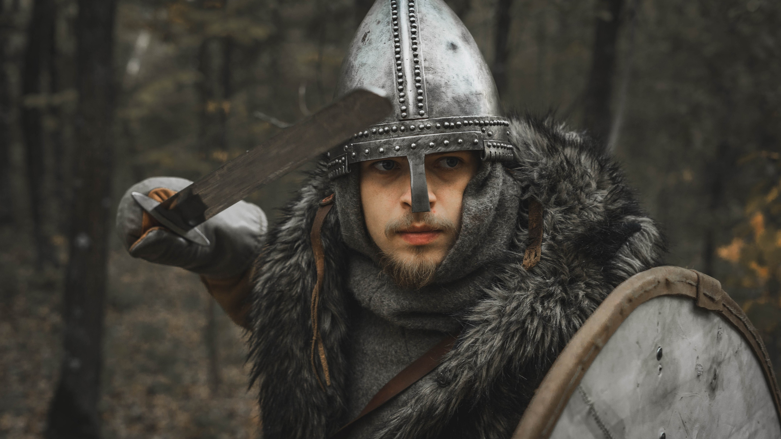 Викинг. Ab extra