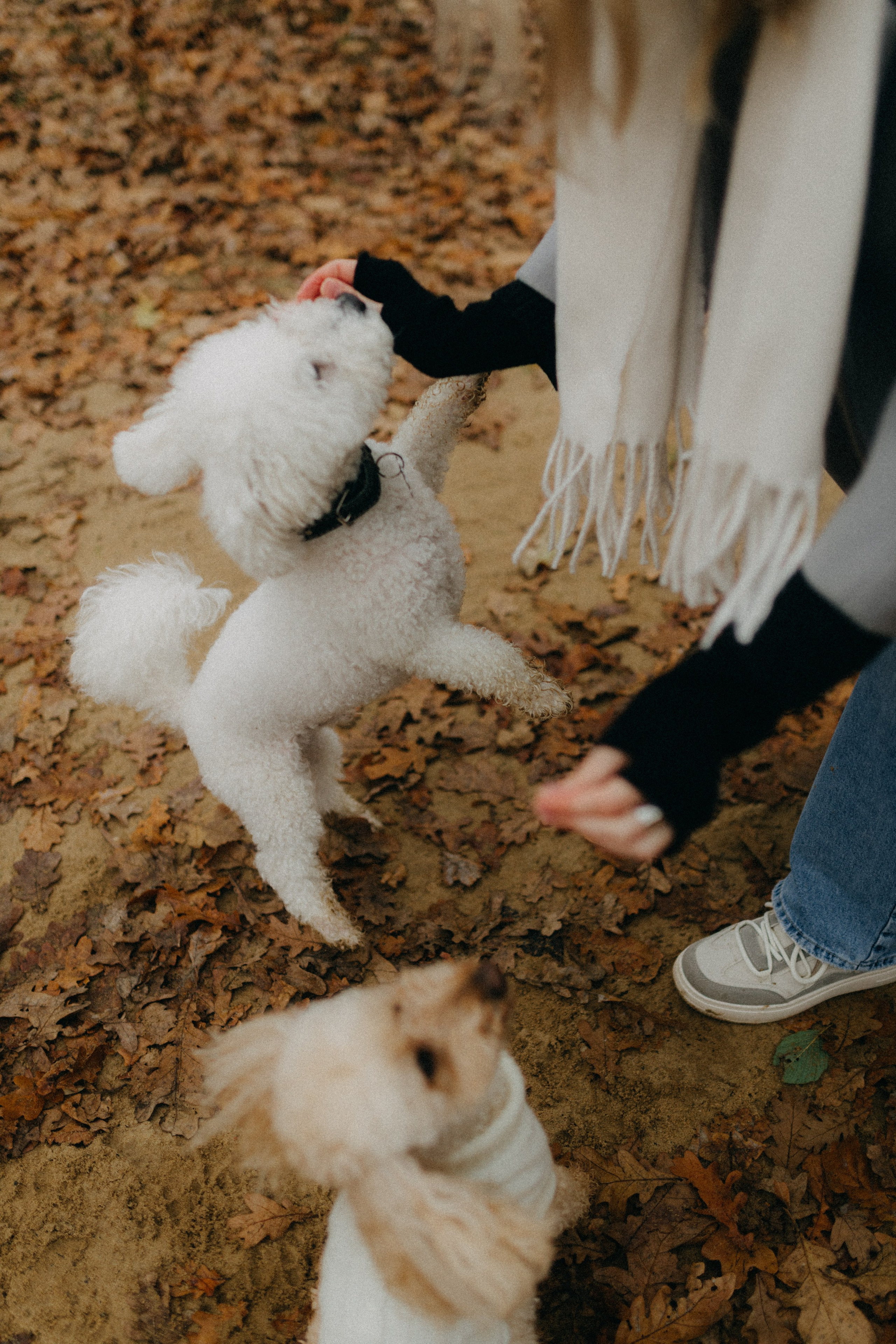 Лена & Миша. Фотограф НОГИНСК, Москва, Анастасия Белая