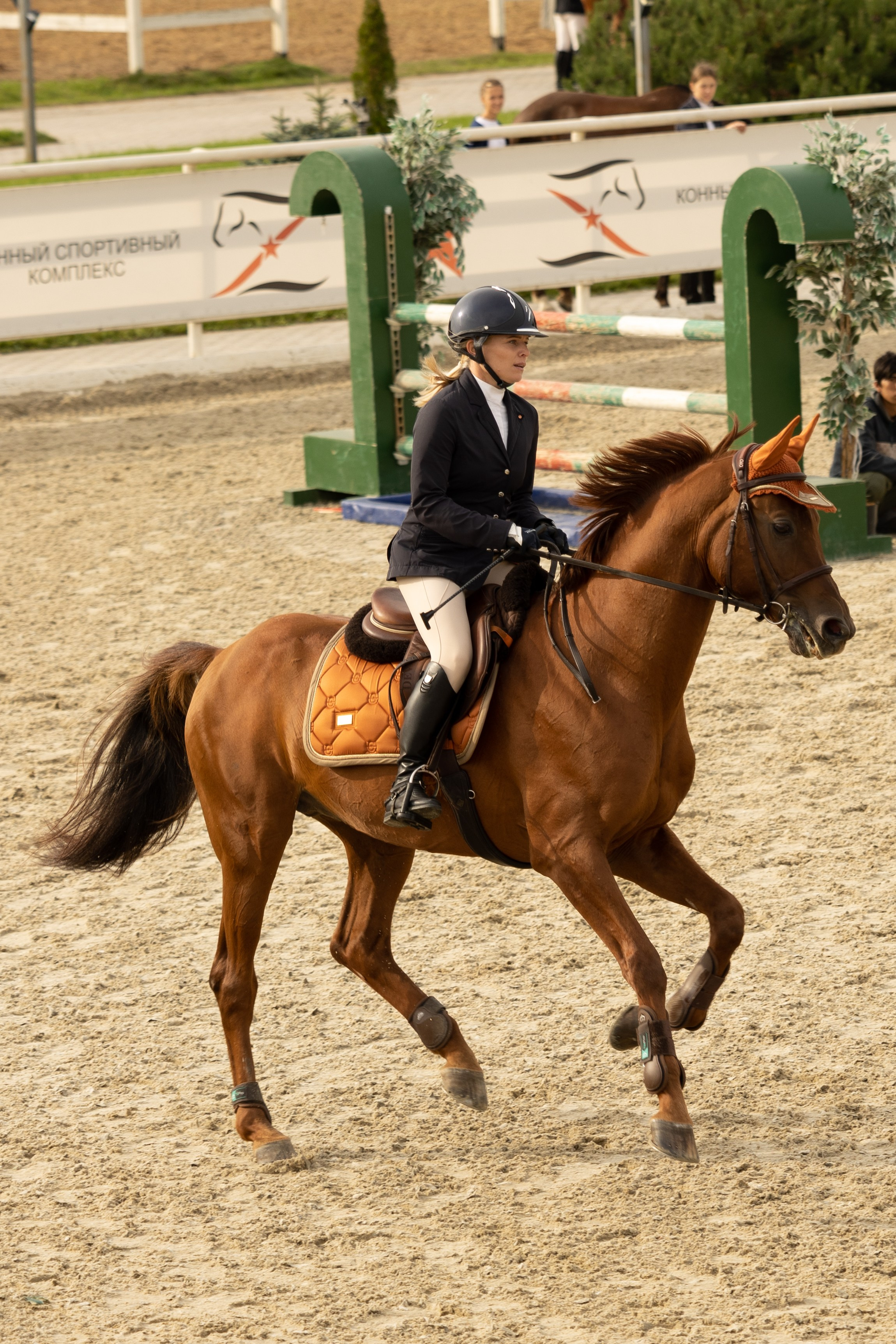 Соревнования по конкуру. Фотограф в Москве Светлана Богначева