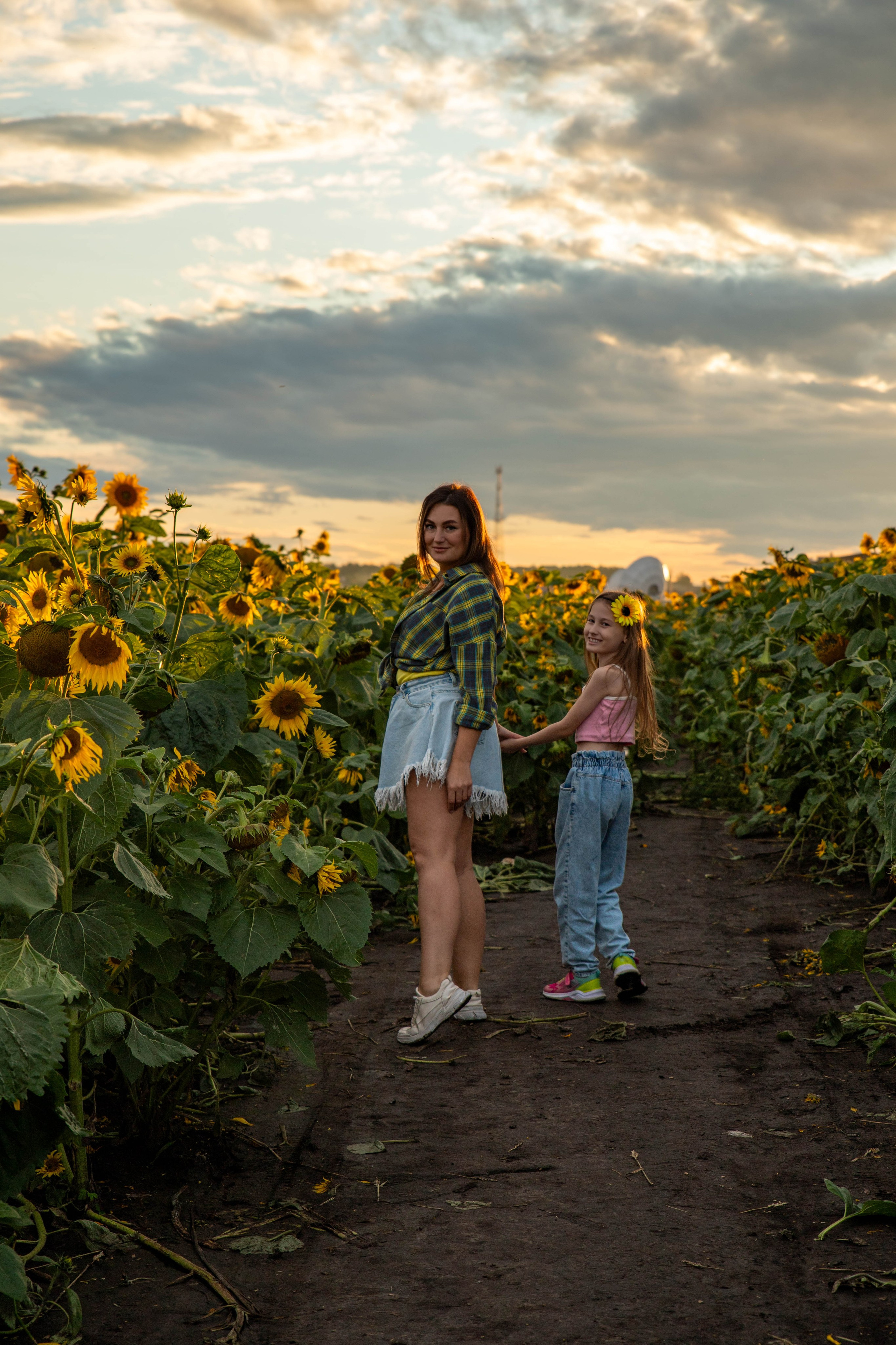 Фотосет в подсолнухах. Алена и Арина. Фотограф Лапочкина Татьяна
