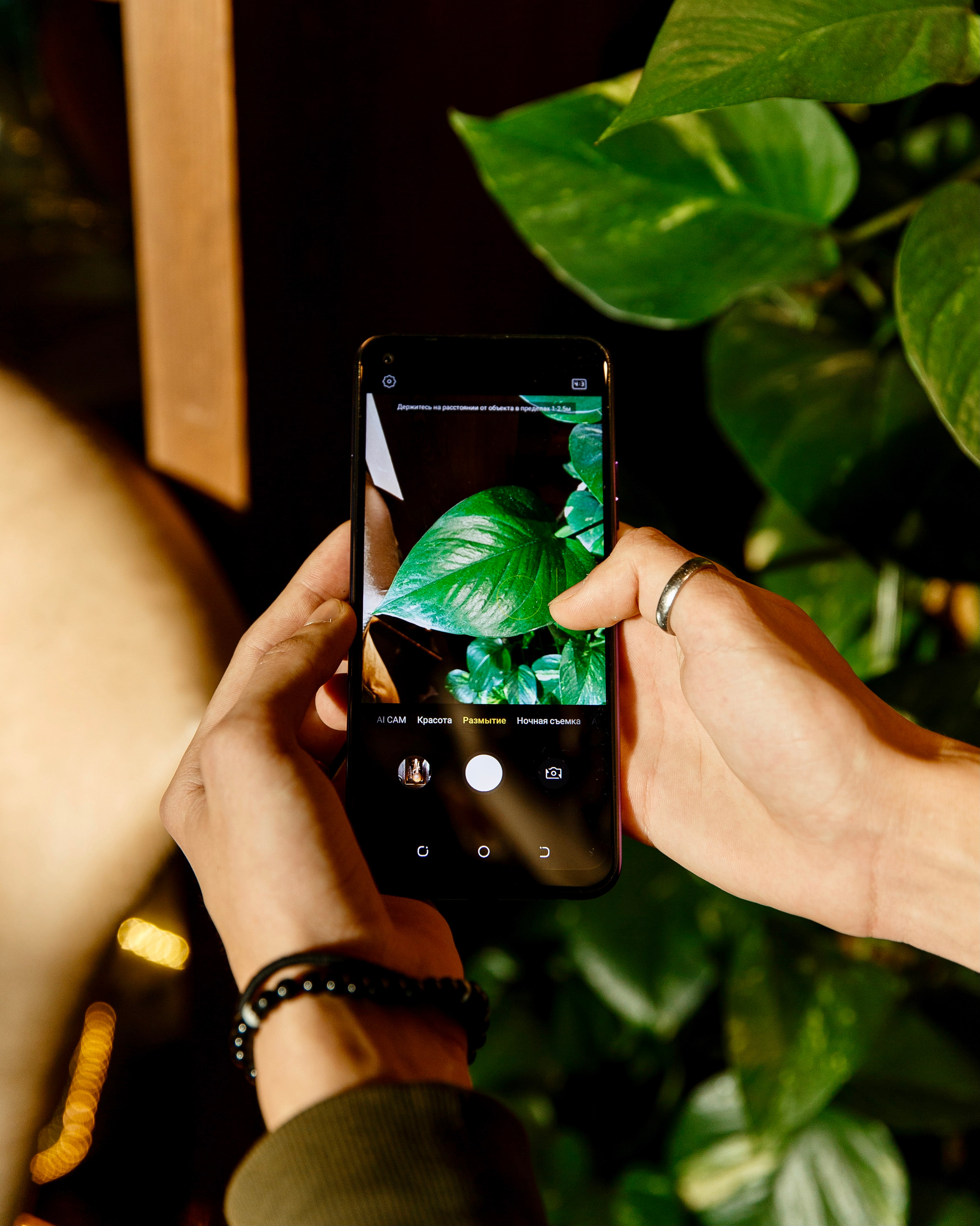 Techno Mobile. AMODEO STUDIO