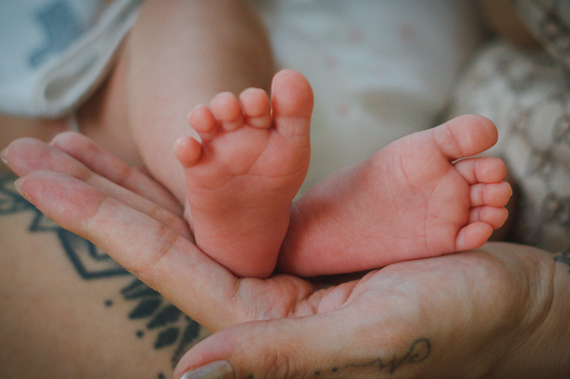 Новорождённых малышей снимаю дома. Фотограф Беременность и Материнство город Семей