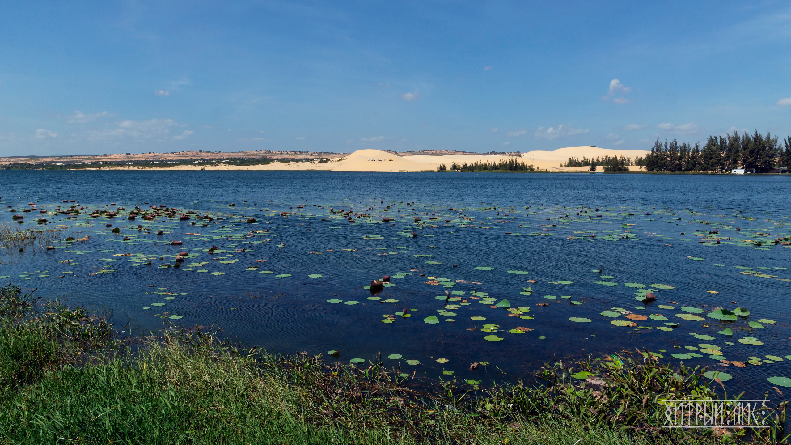 Вьетнам. Фотограф-путешественник Самойлов Максим «Sly Fox»
