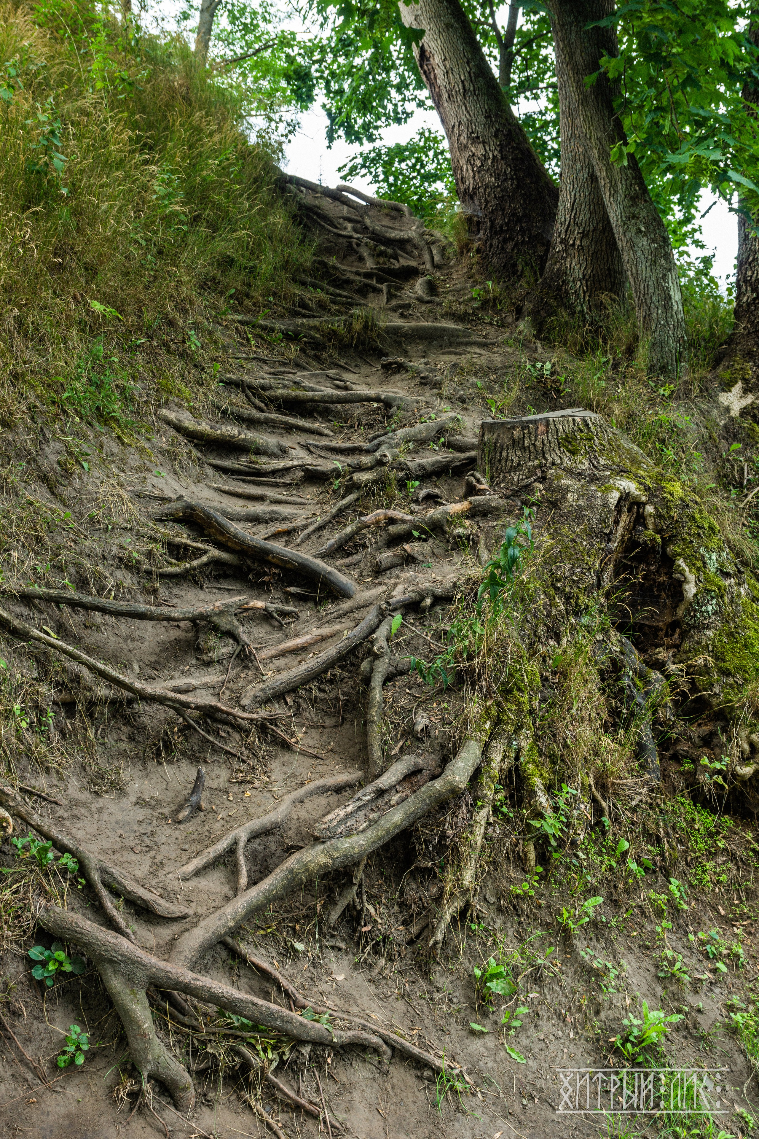 Беларусь. Фотограф-путешественник Самойлов Максим «Sly Fox»