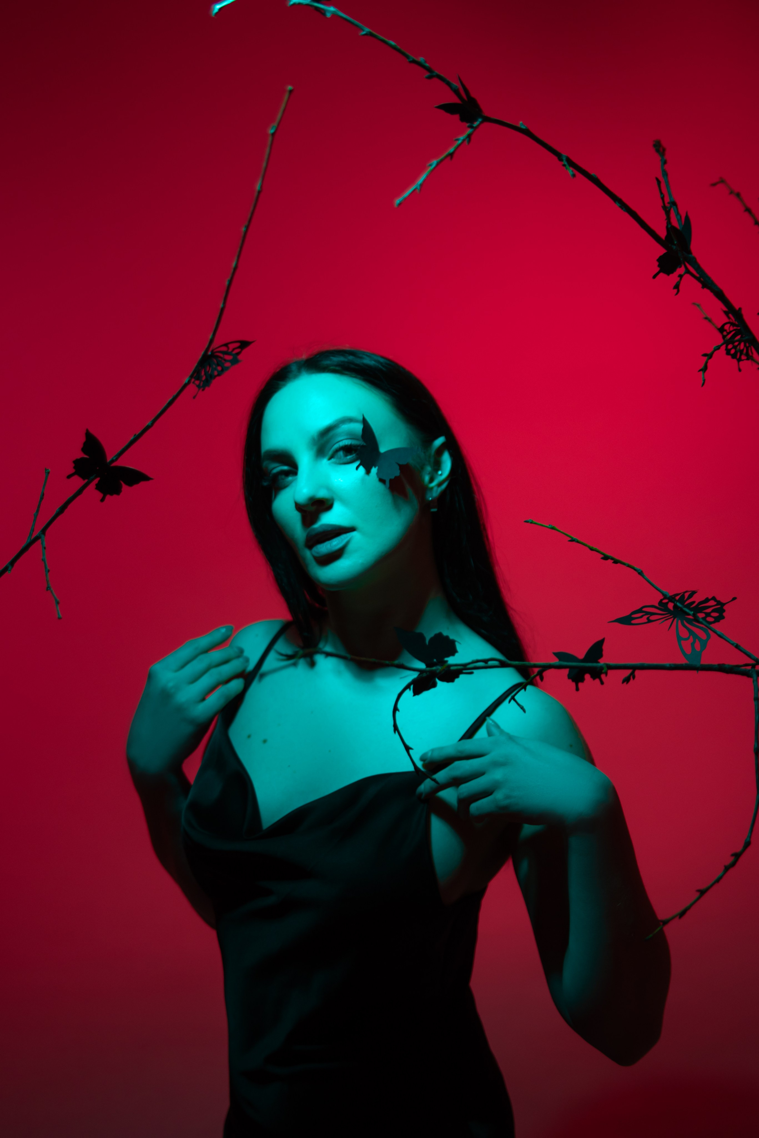 Цвет и свет