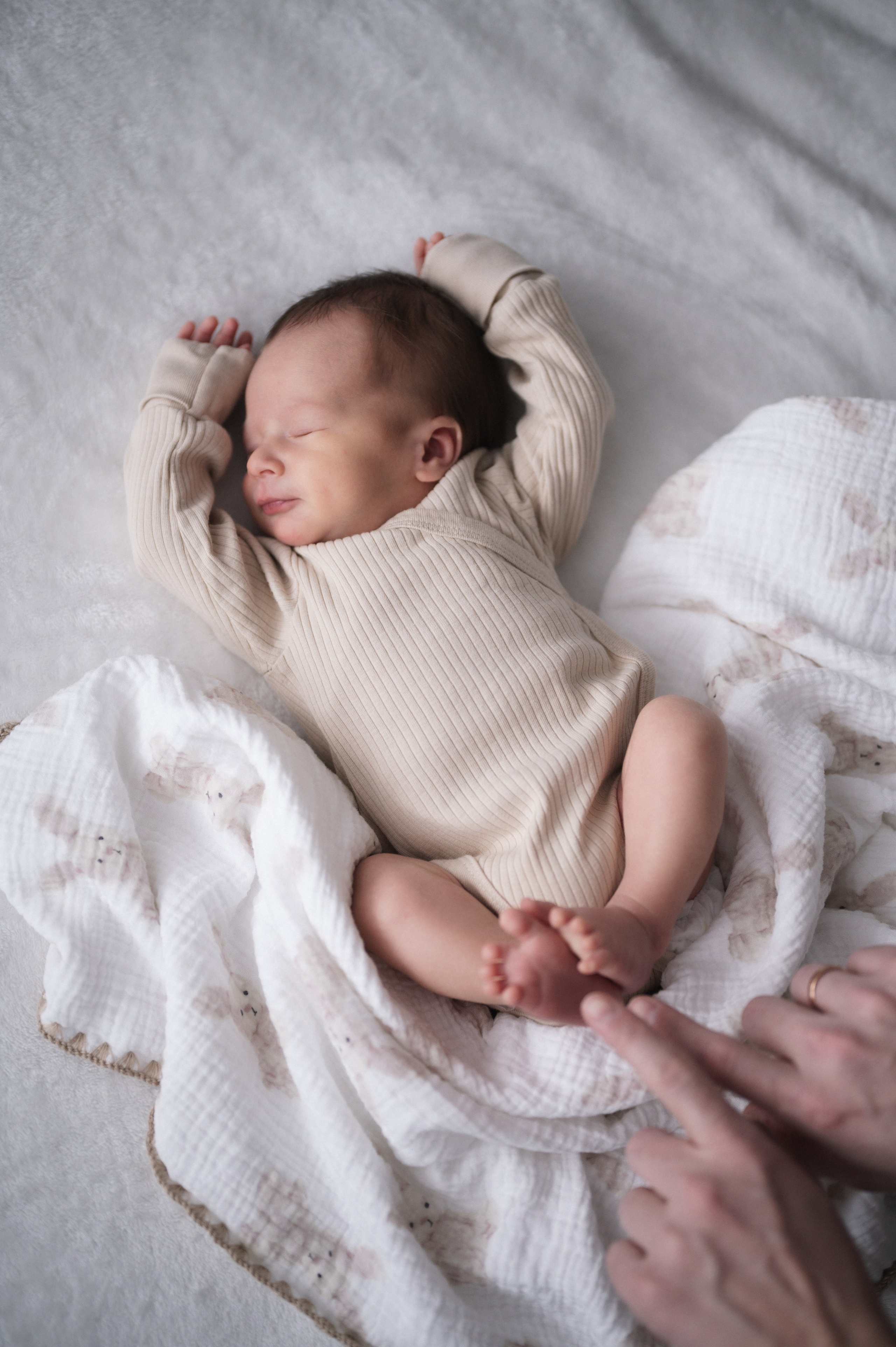 Лев — newborn. Фотограф Иркутск Лепетанова Марианна