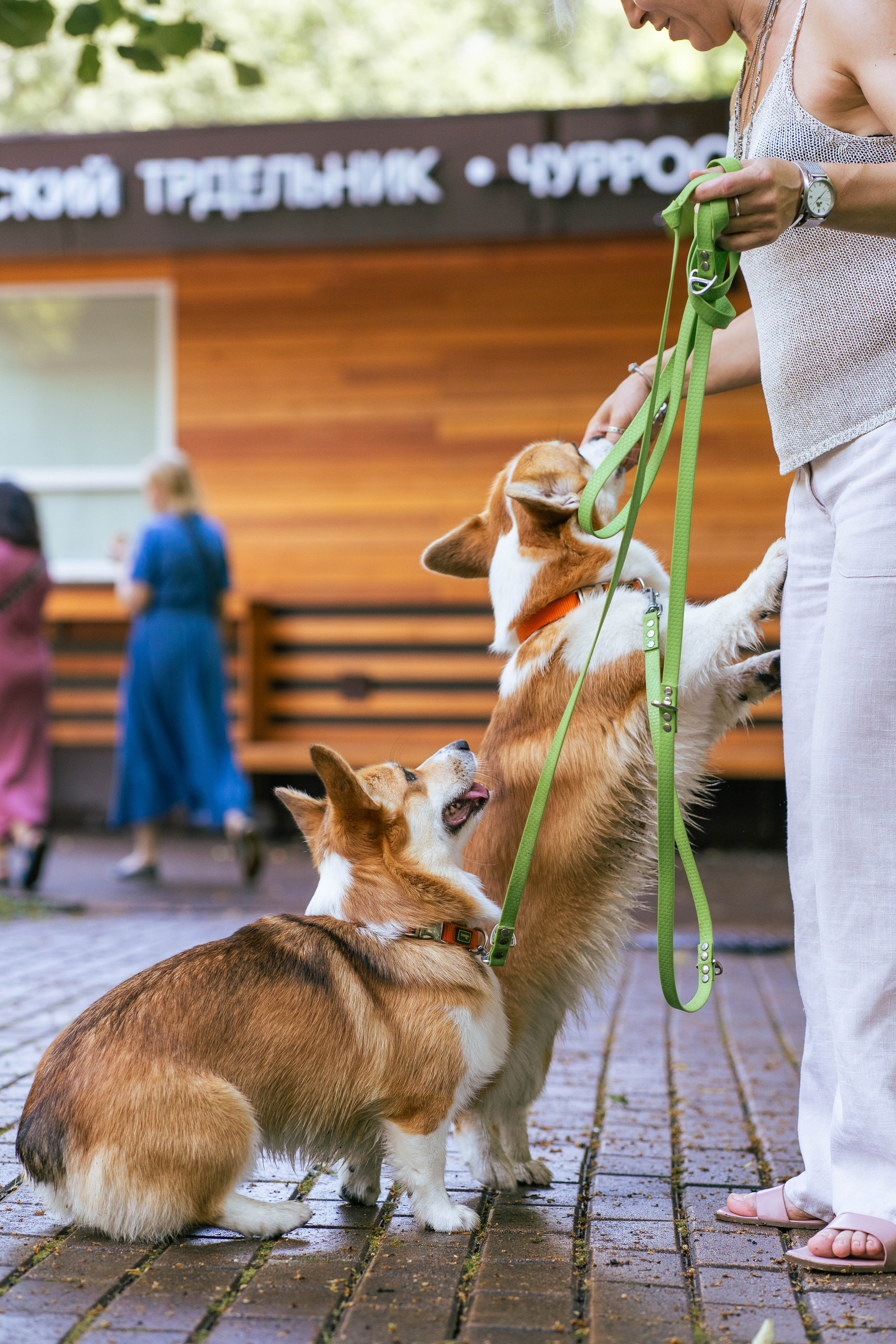 Ольга и коржики. Свадебный фотограф в Москве Анна Полушина