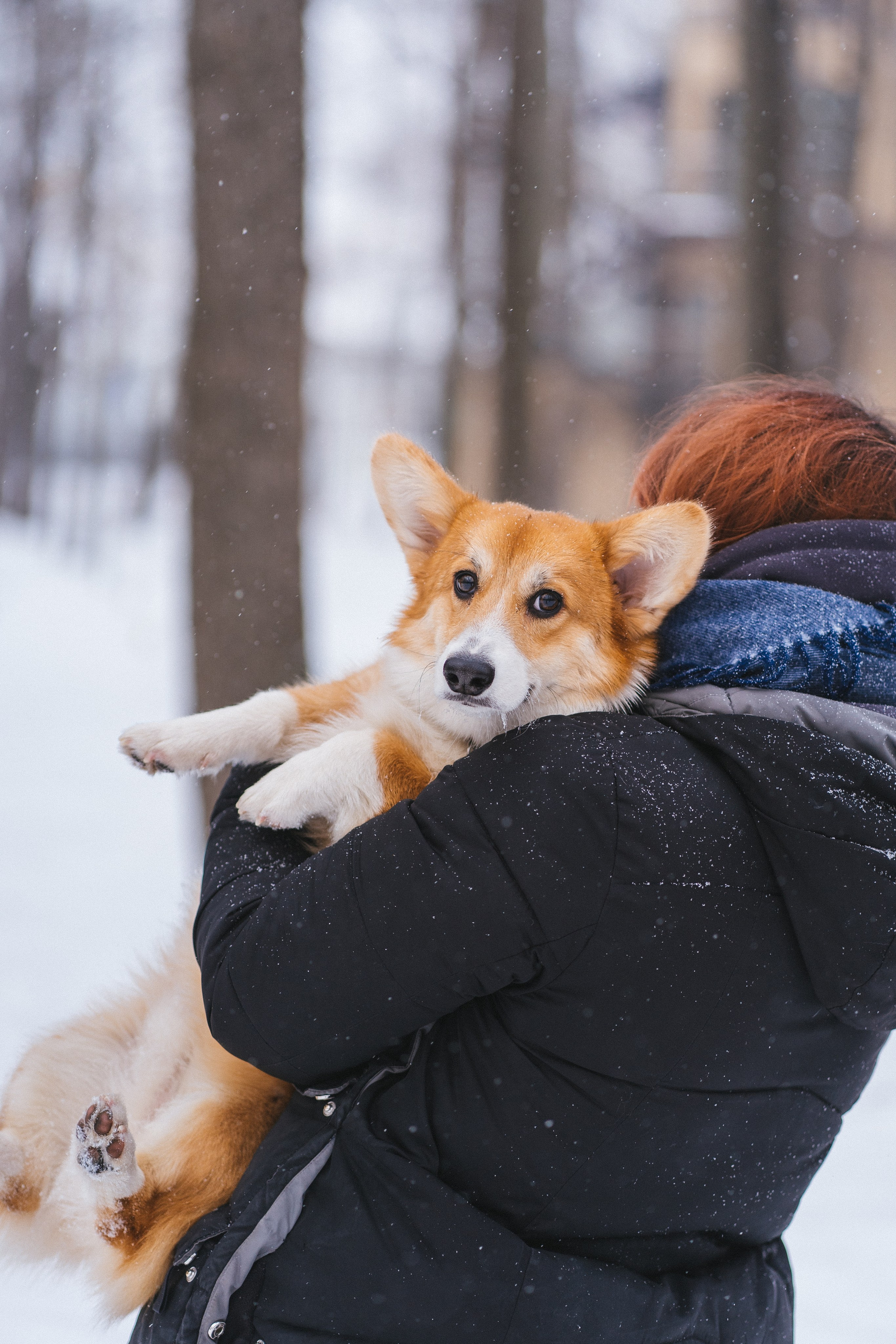Агата и Лайк. Свадебный фотограф в Москве Анна Полушина