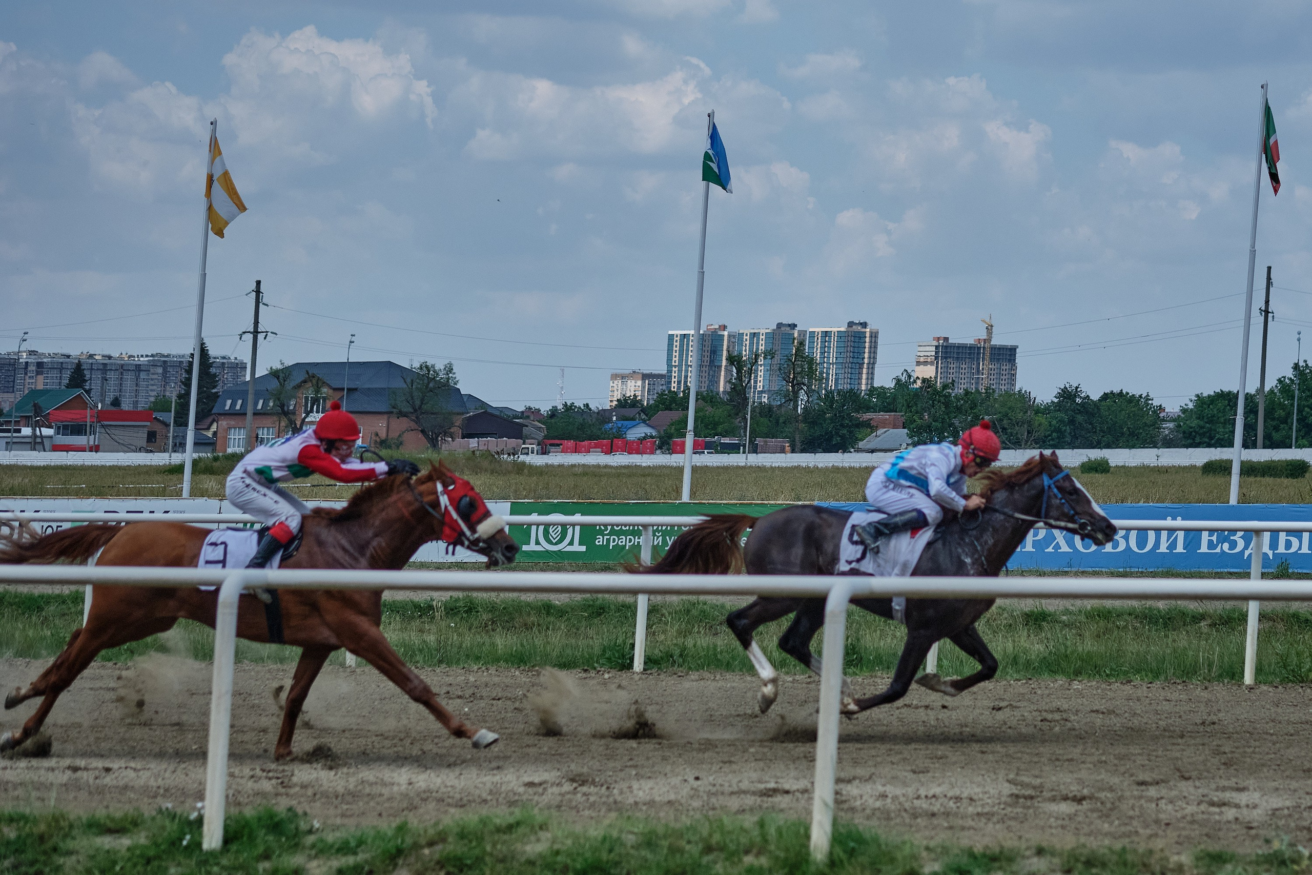 Скачки. Предметный фотограф в Краснодаре