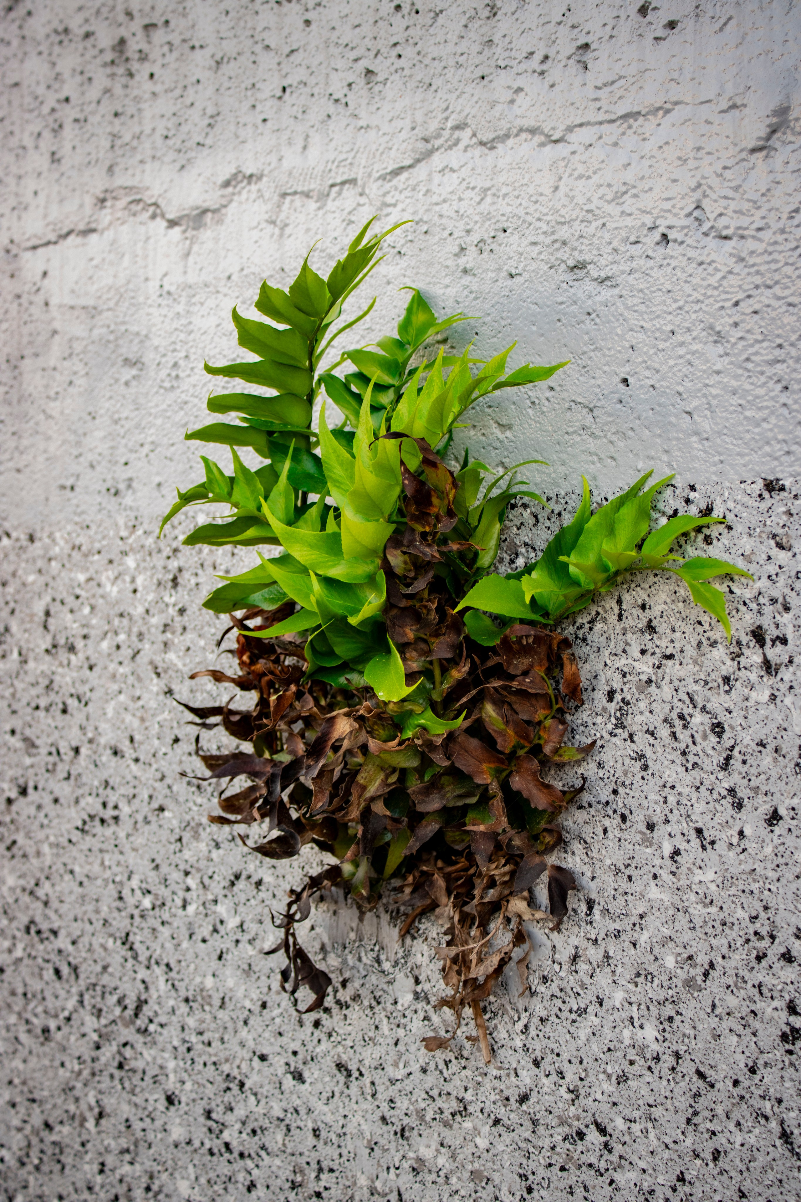 Однажды в Корее. Часть 1. Фотограф г. Владивосток