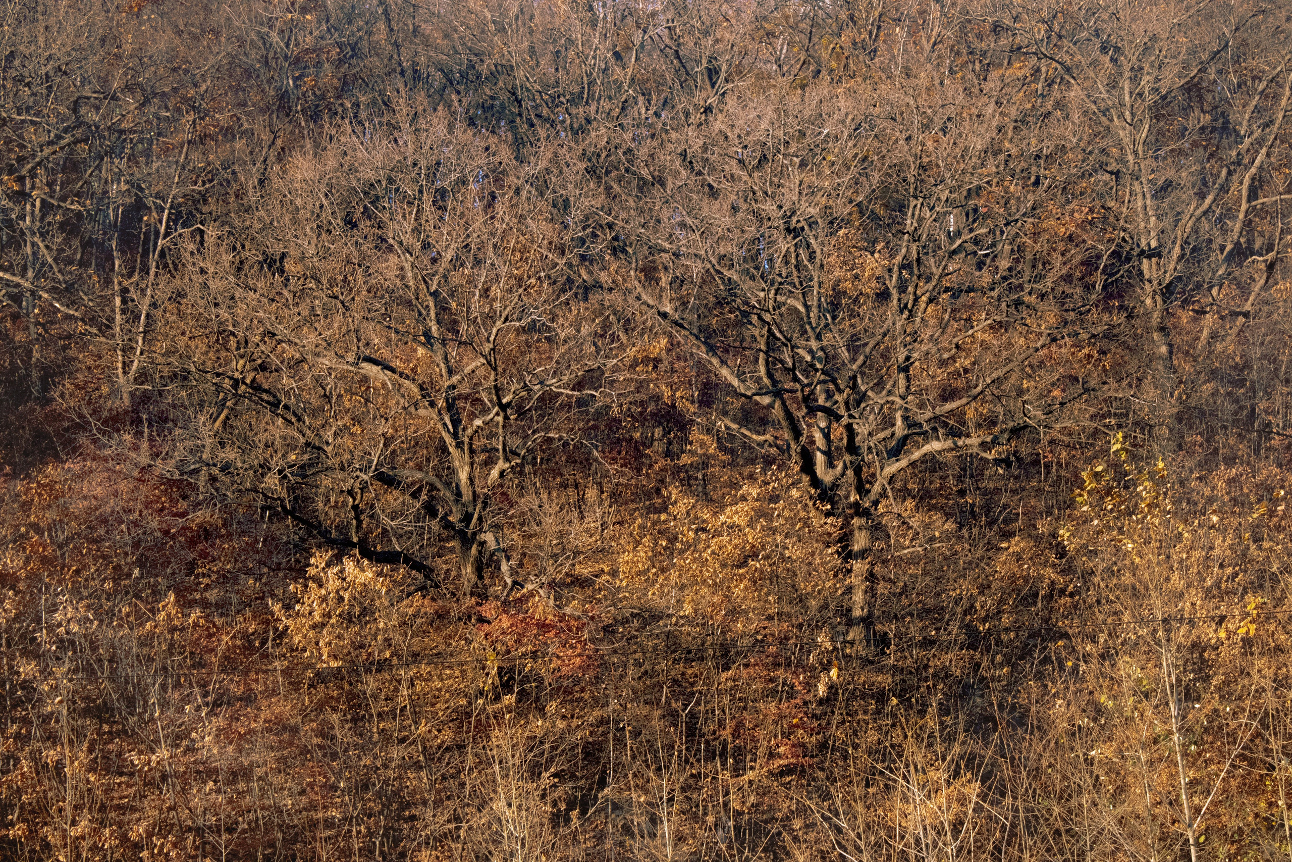 Пейзажи и Природа. Фотограф г. Владивосток