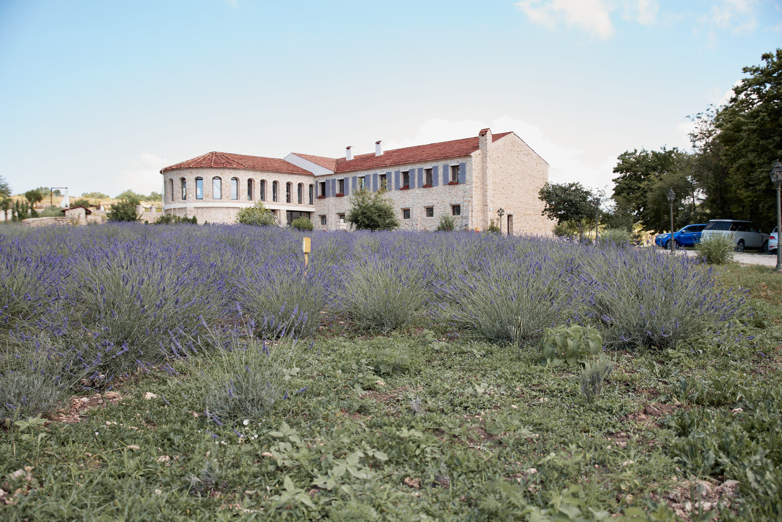 ОДНА ВИНОДЕЛЬНЯ. Репортажный и мужской фотограф в Краснодаре. Фотограф в Краснодаре