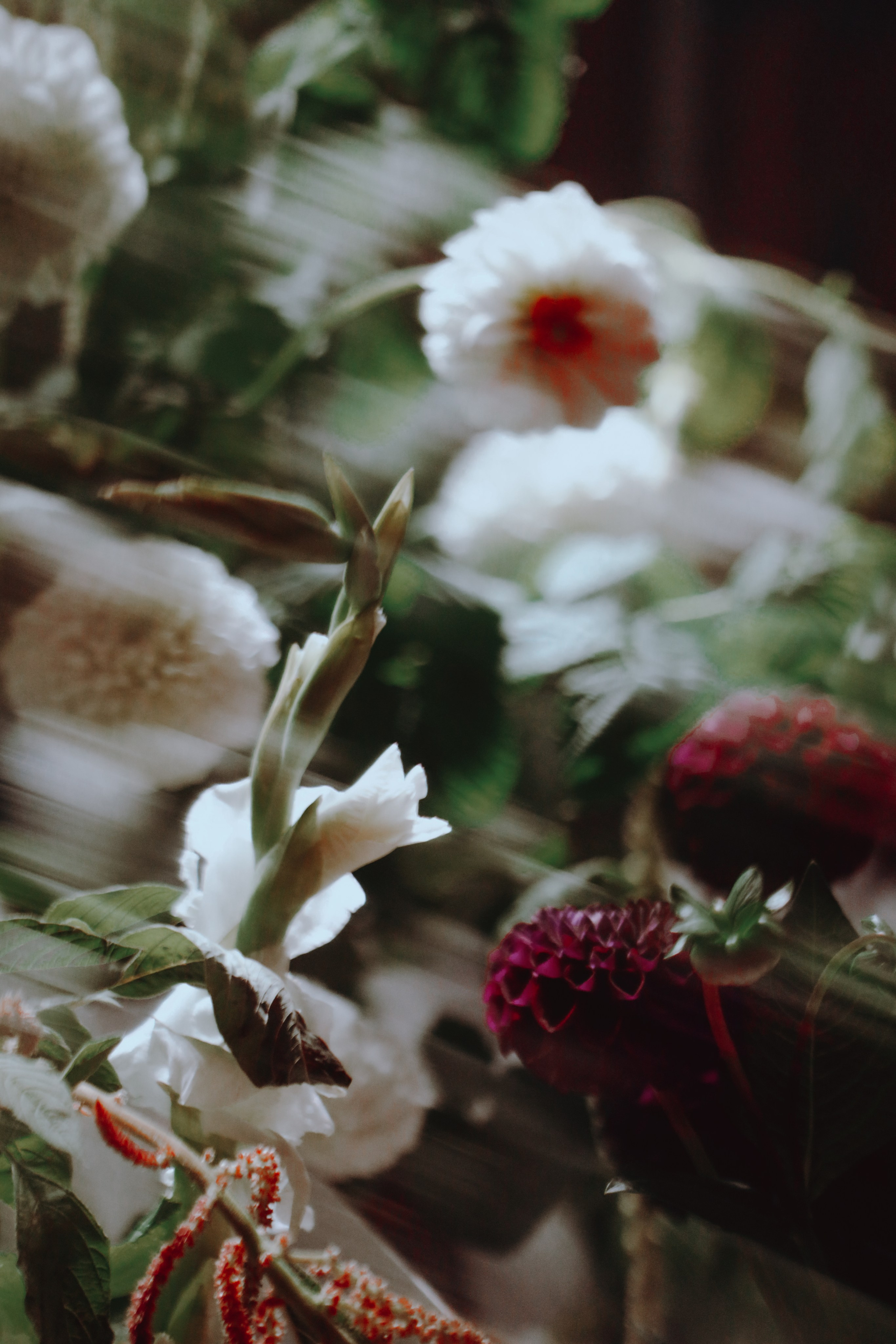 AUXI Ardor 2024. Fashion Фотограф в СПб Yana Kochkina