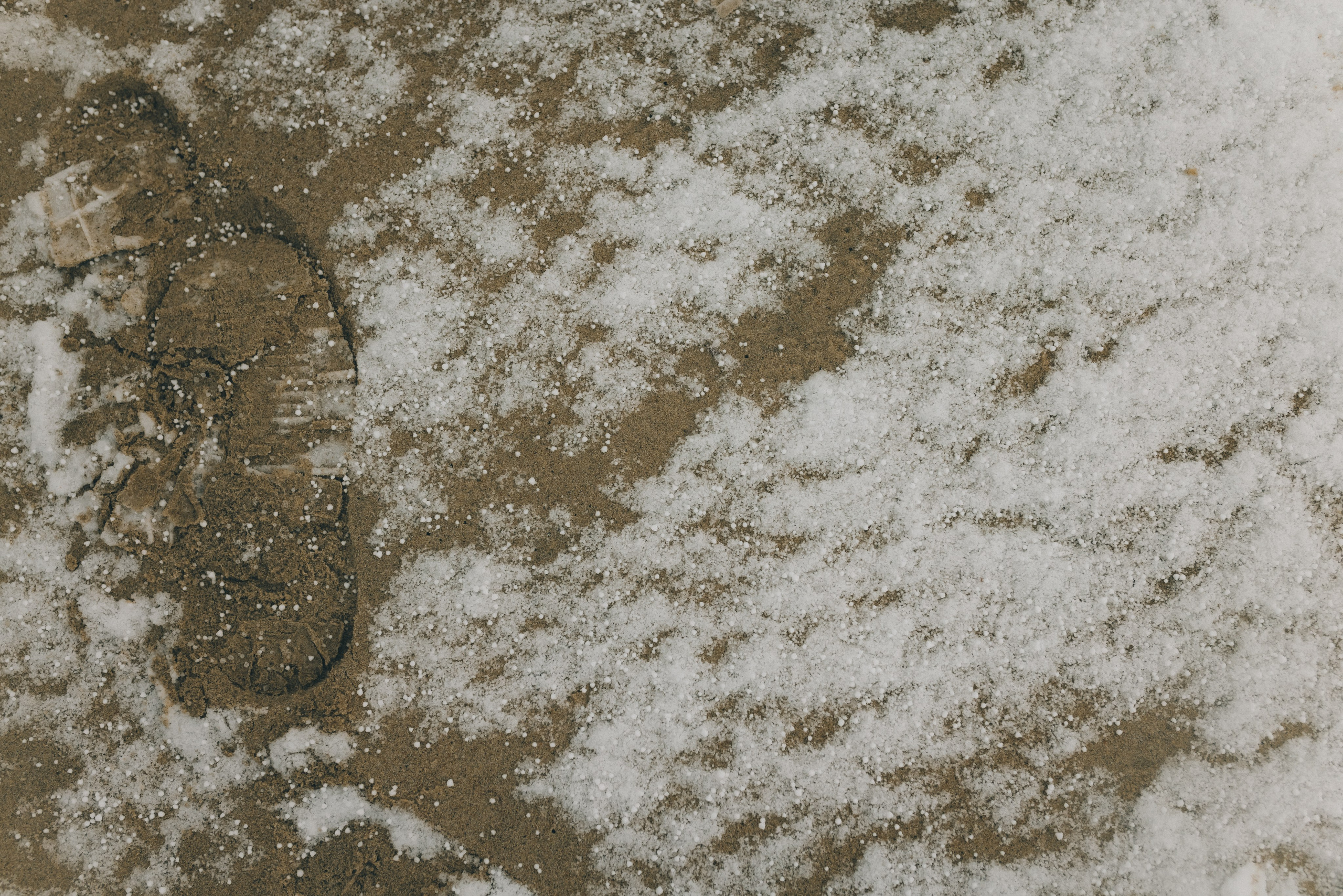 Маша и зима на Балтике. Фотограф Зеленоградск Красильникова Елена