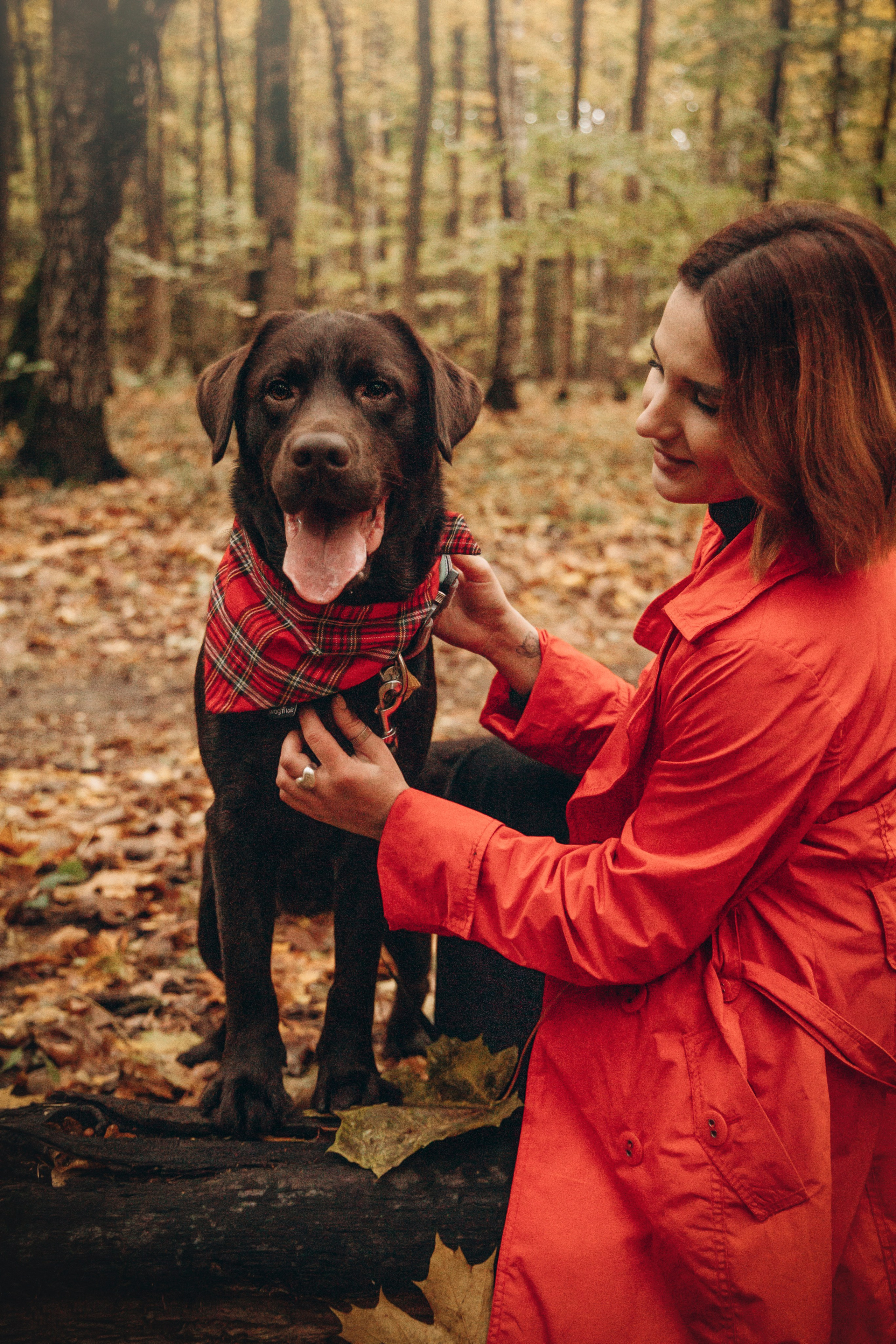 Арина и Сэмми. Фотограф — Анималист | Санкт-Петербург