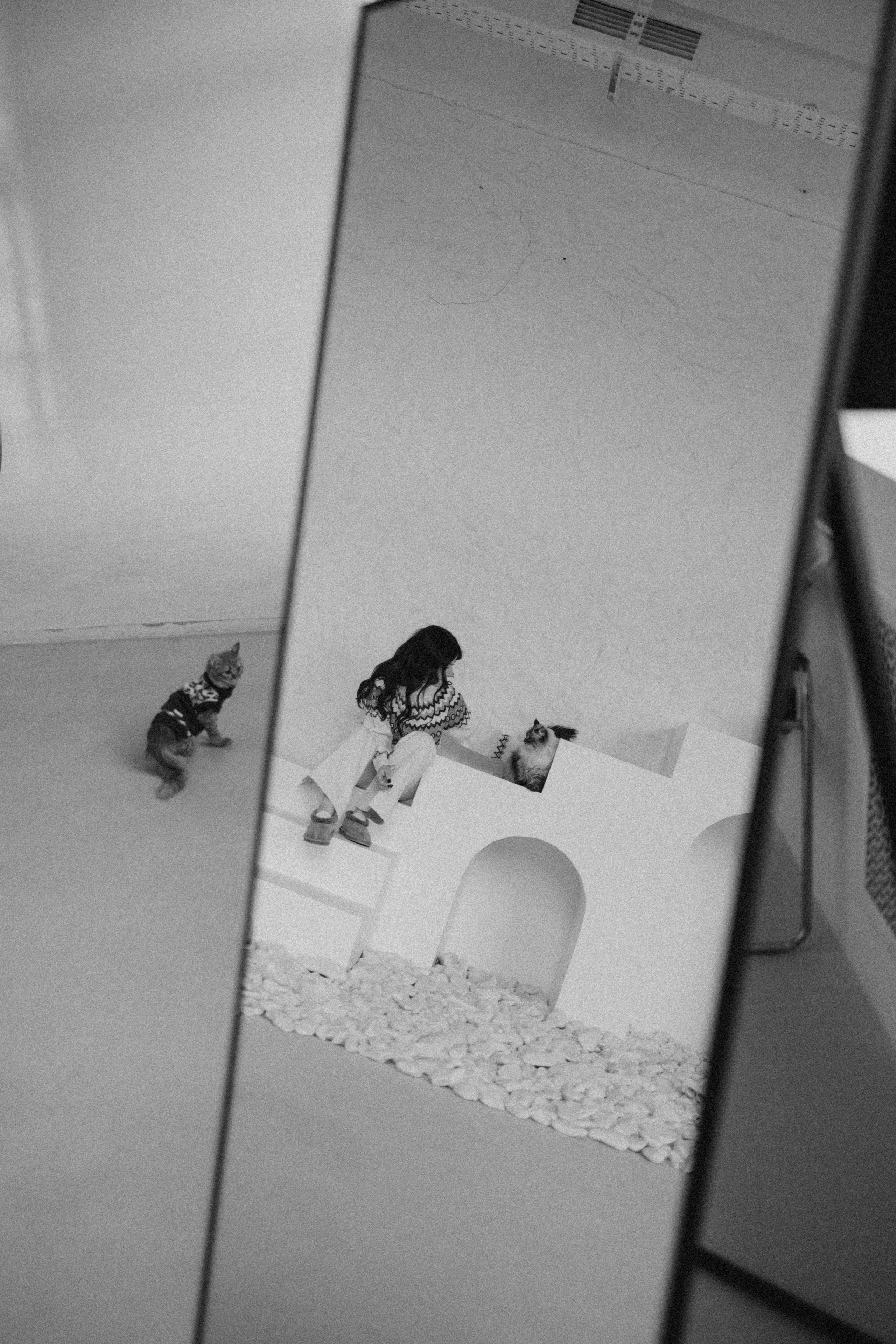 Камилла и ее девочки. Фотограф — Анималист | Санкт-Петербург