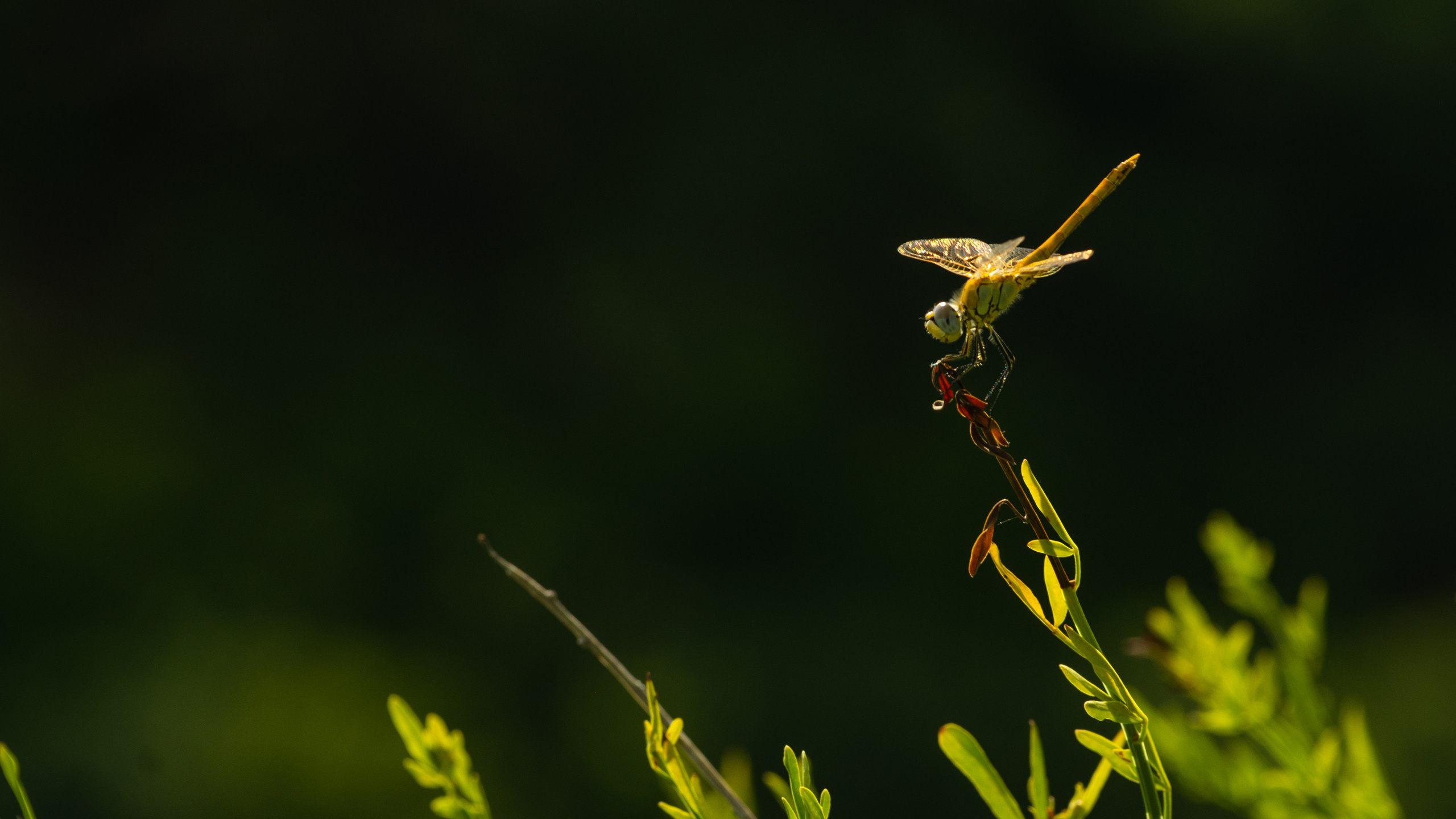 Пейзажи и архитектура. Коммерческий фотограф в Москве Садовников Алексей