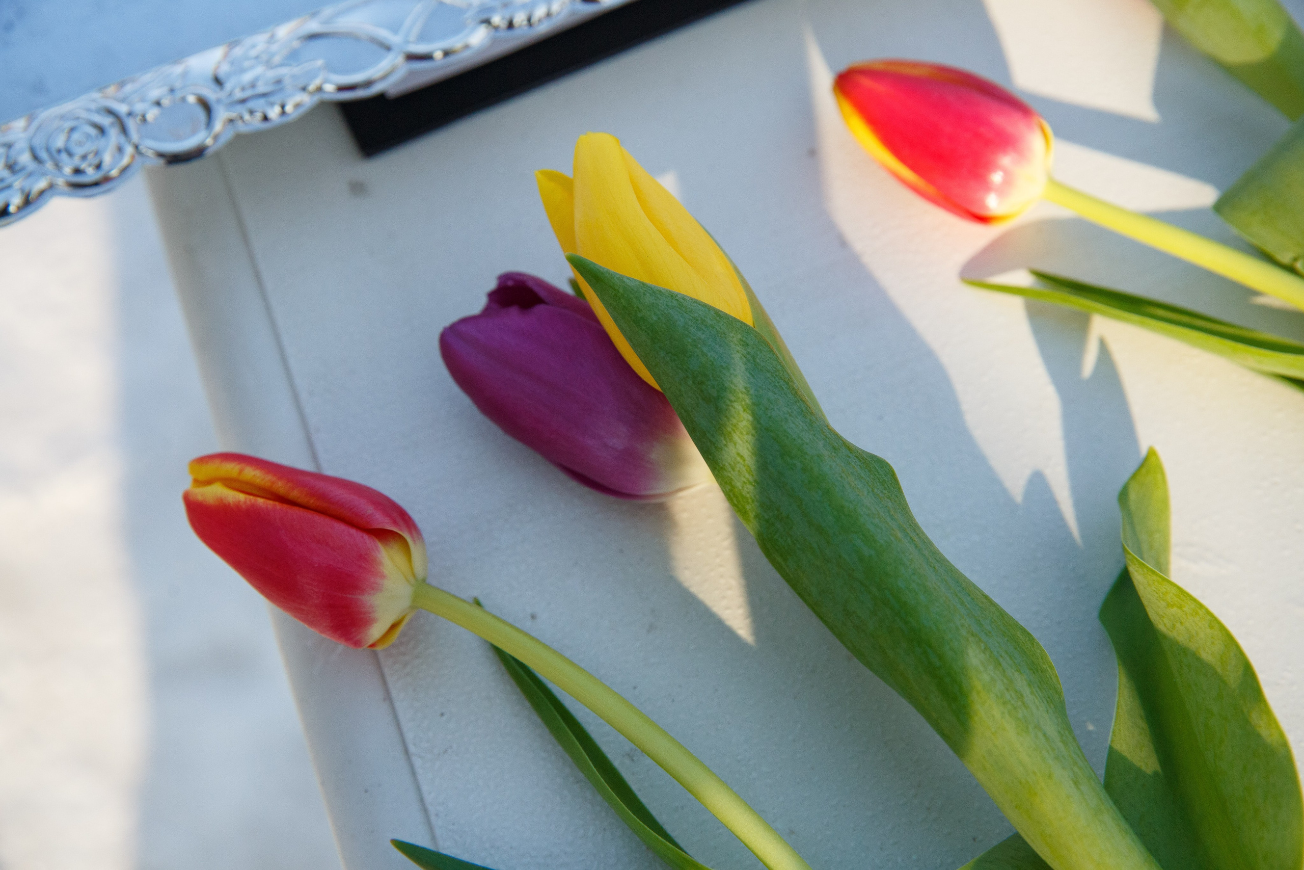 07.03.2025 г. Кубок Главы г. Тюмени по лыжным гонкам. Мой фотомир