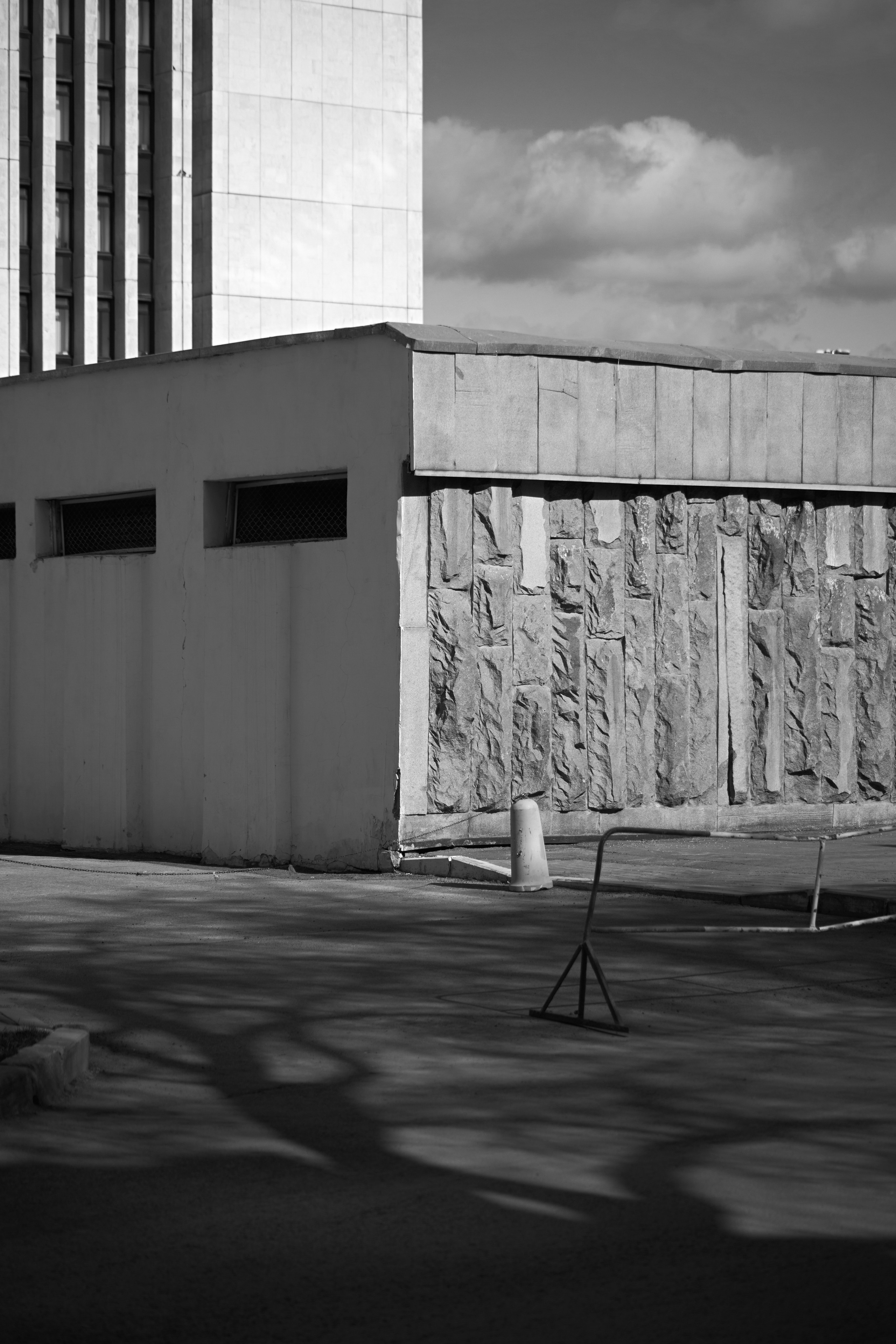 Д о м  С о в е т о в. Фотограф Георгий Сапожников