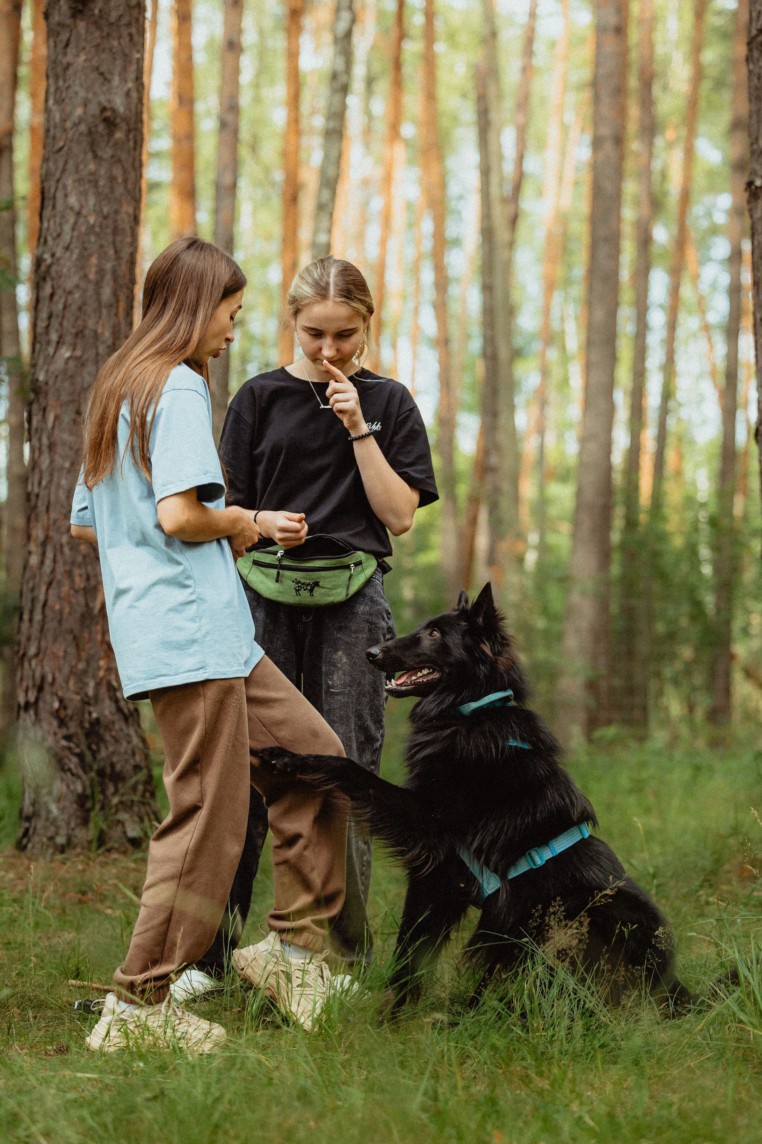 Выездной дог-тренинг от школы «Шерсть имею»