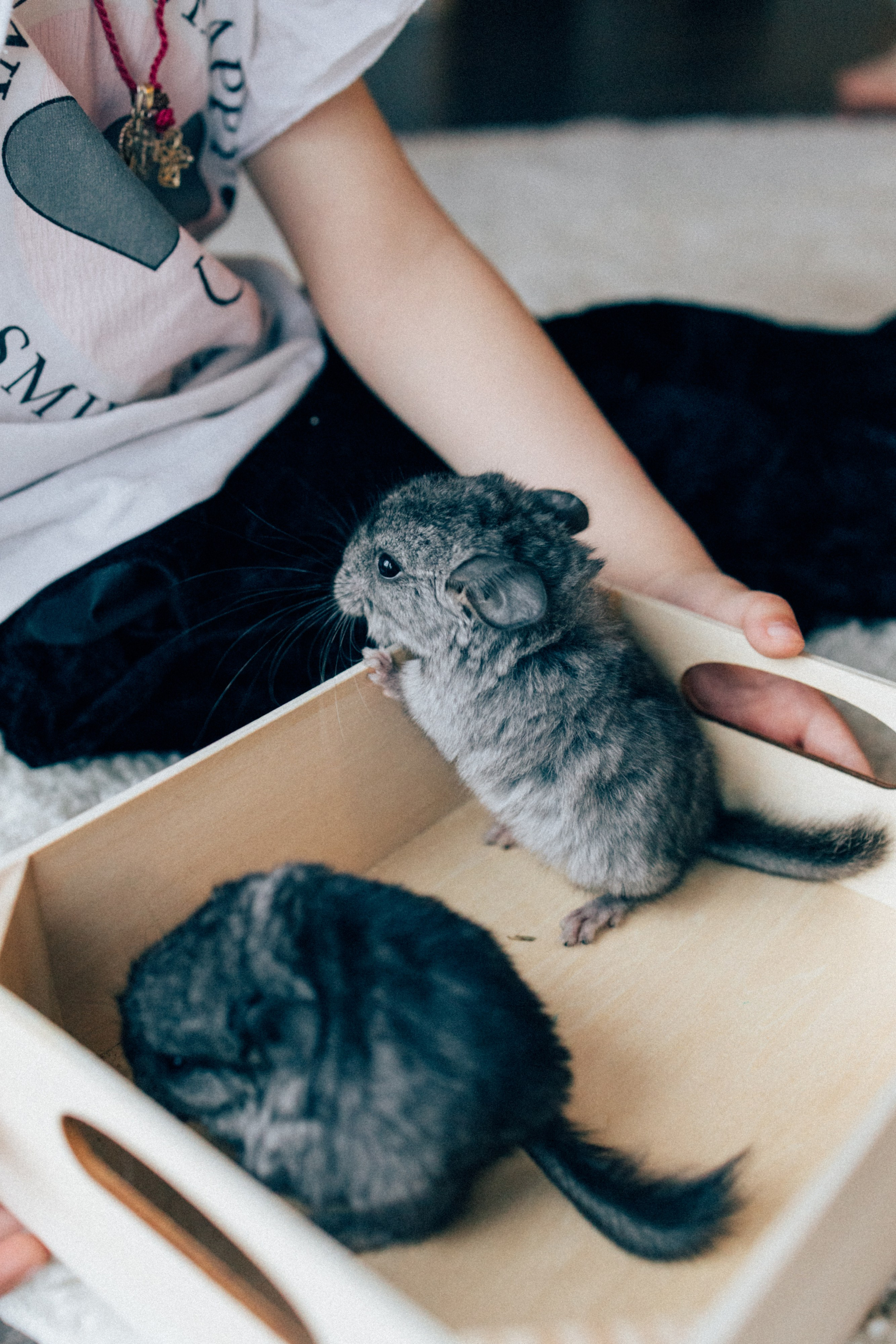 Lifstyle Фролкины. Семейный, женский и детский фотограф Татьяна Колобаева