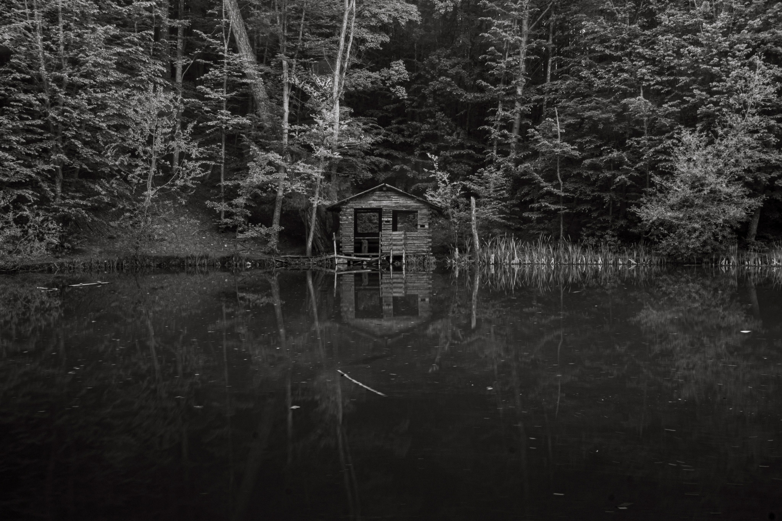 Крым май 2022. Фотограф Роман Адлер