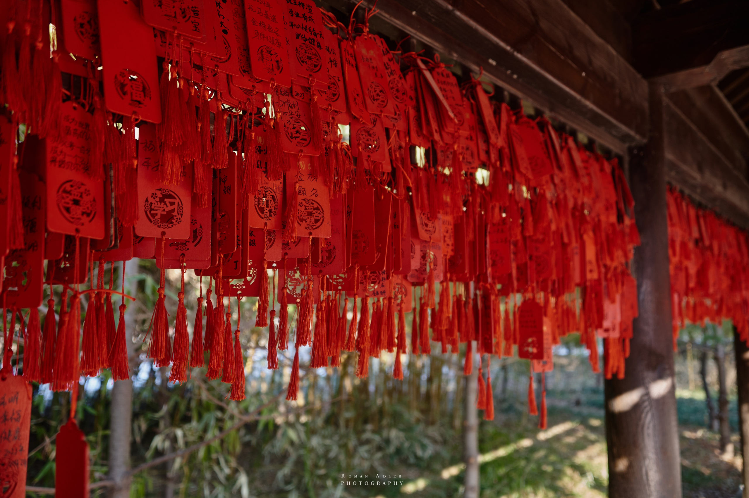 Старый город Цинчжоу. Фотограф Роман Адлер