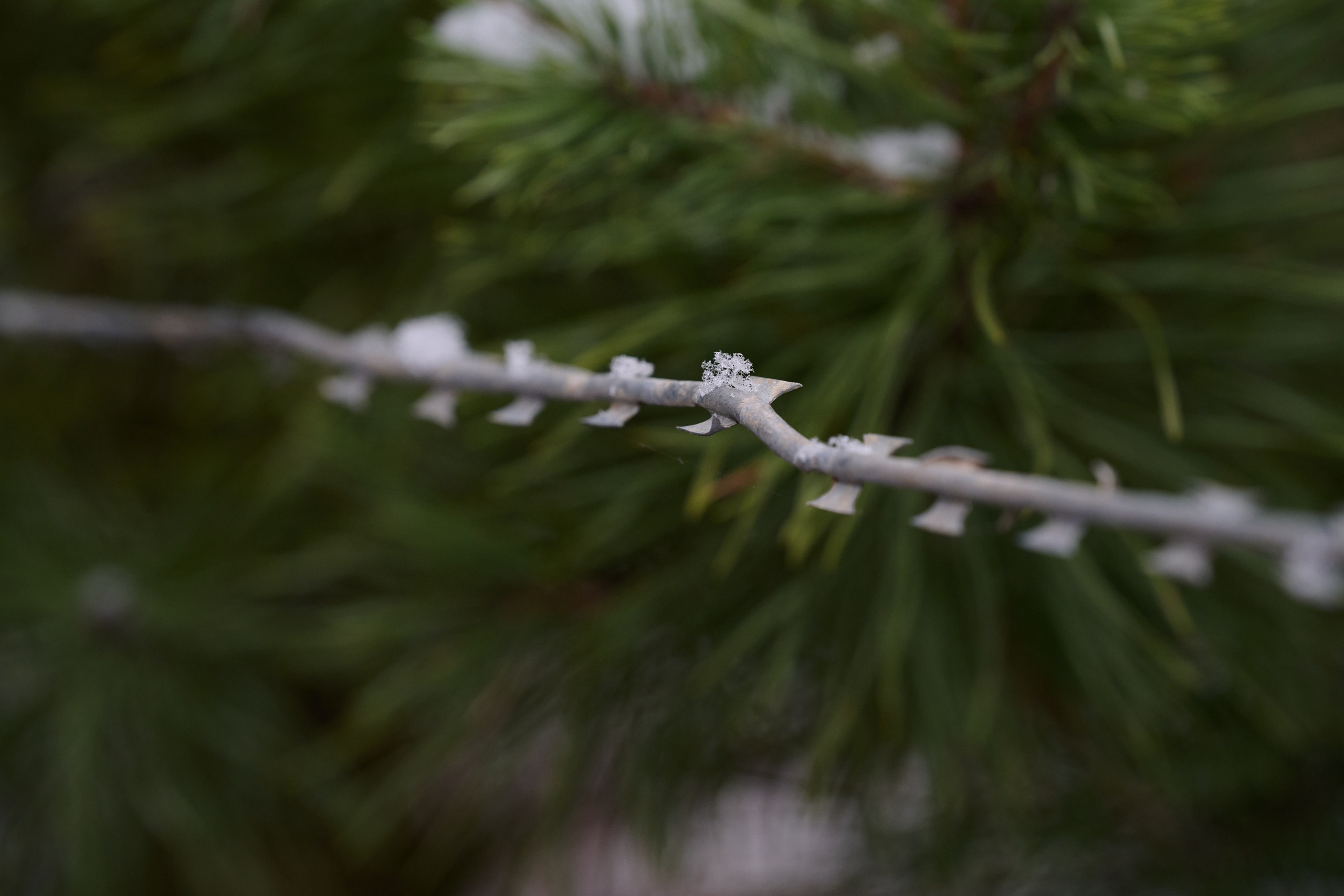 Будни съёмок фотопроекта Территории. Фотограф Роман Адлер