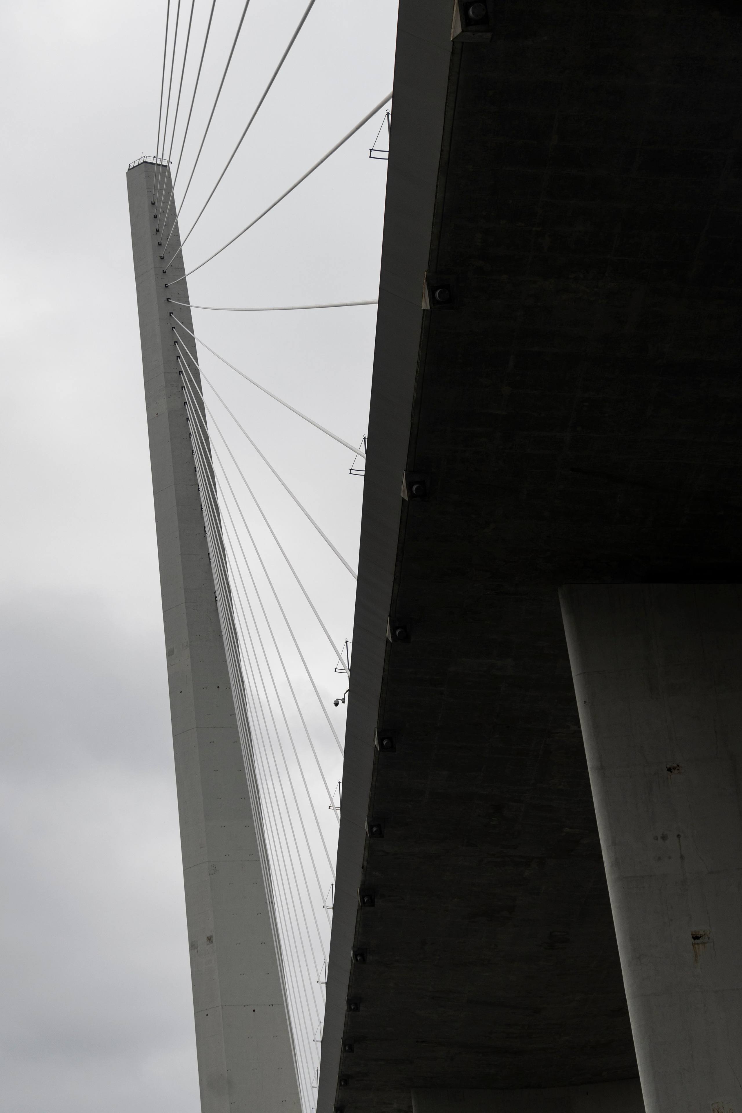 Владивосток. Сентябрь 2023. Фотограф Роман Адлер