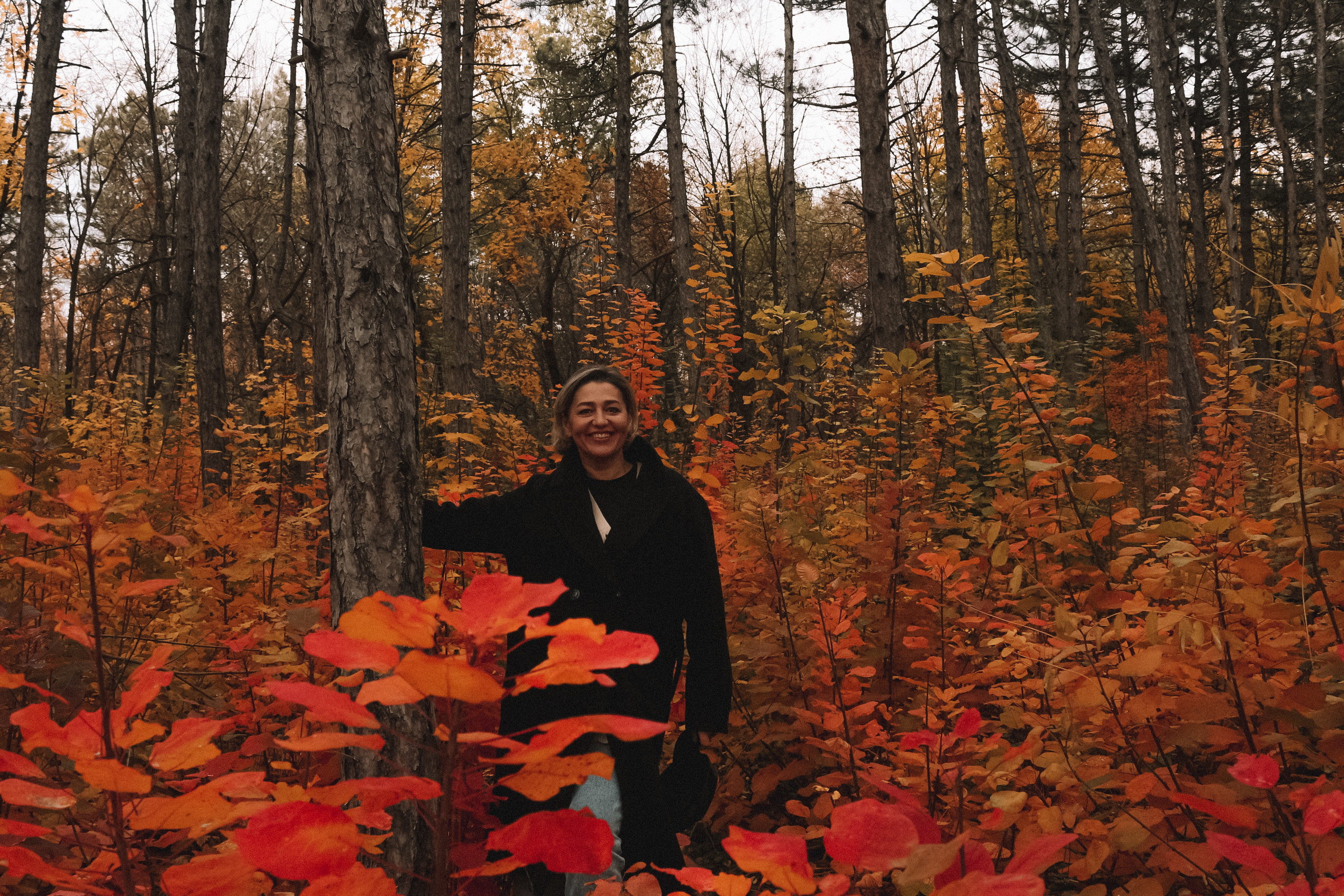 Осень с Натальей. Коммерческий фотограф. Ростов-на-Дону. Дарья Константинова