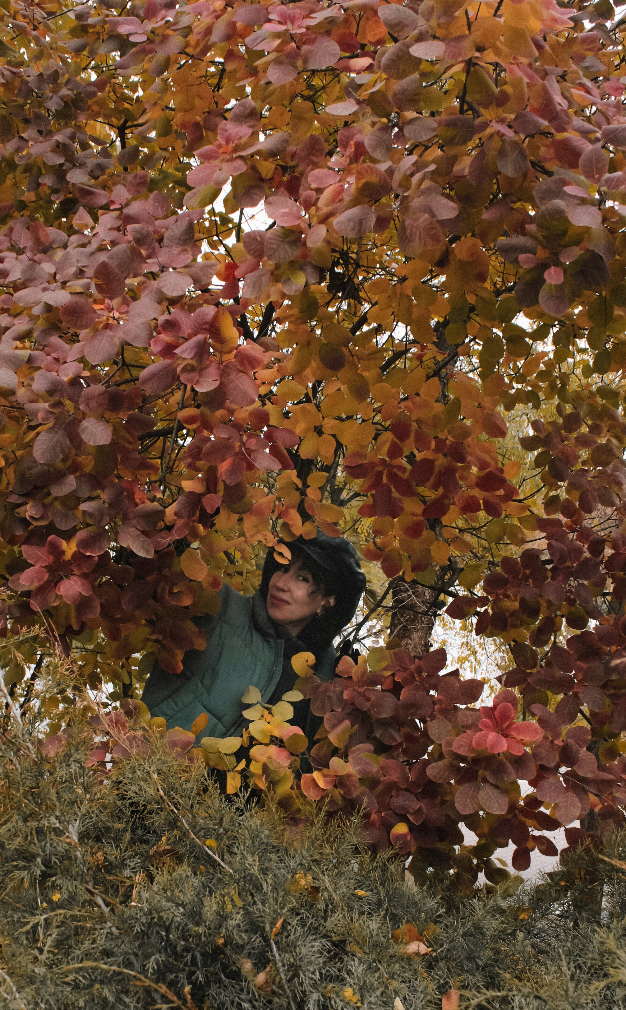 Прогулка с Валентиной. Коммерческий фотограф. Ростов-на-Дону. Дарья Константинова